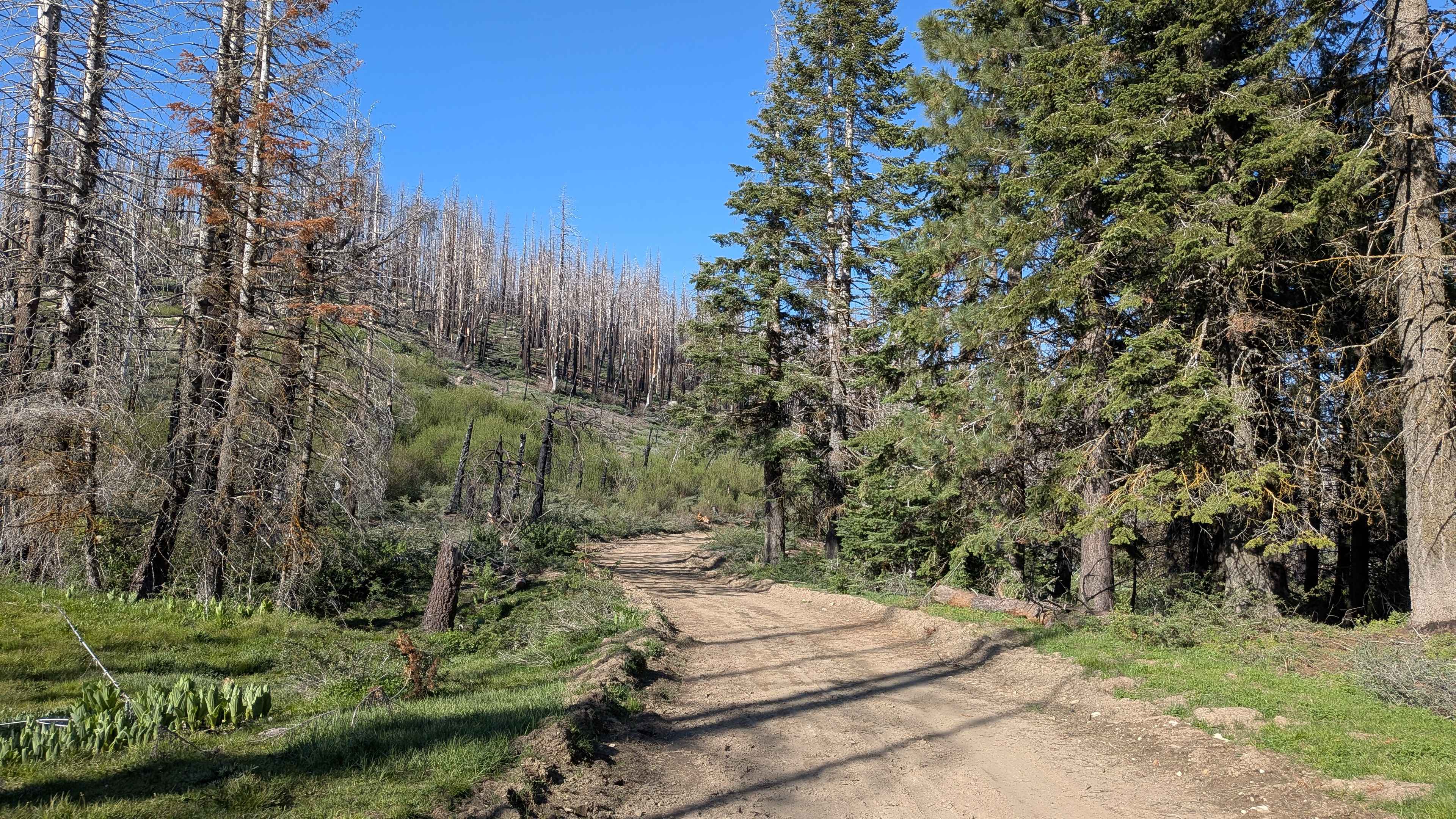 Mule Peak South - FS 22S03