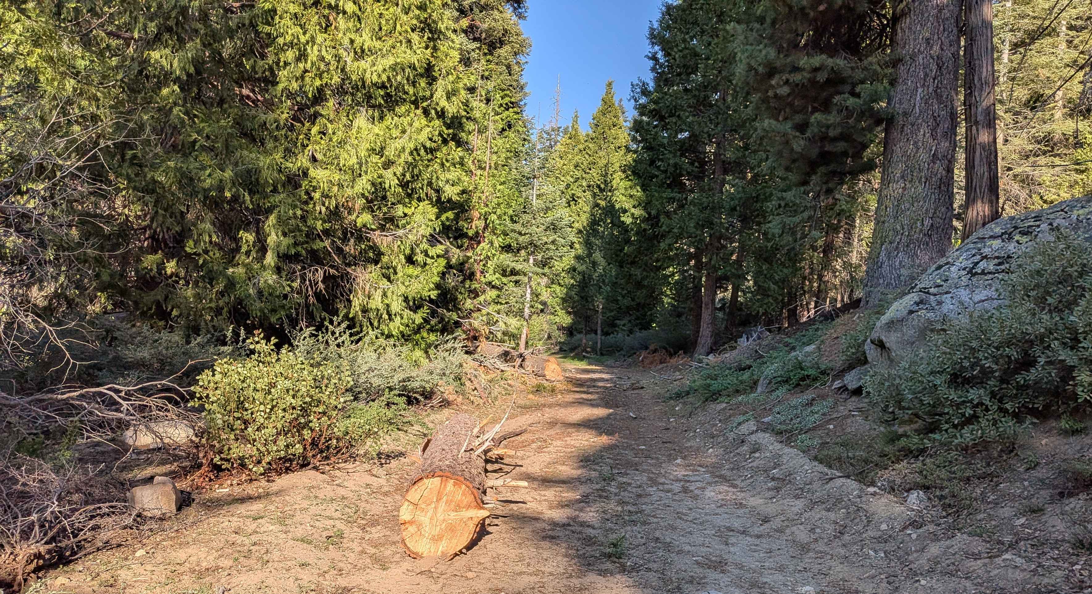 Redwood Meadow - FS 22S13