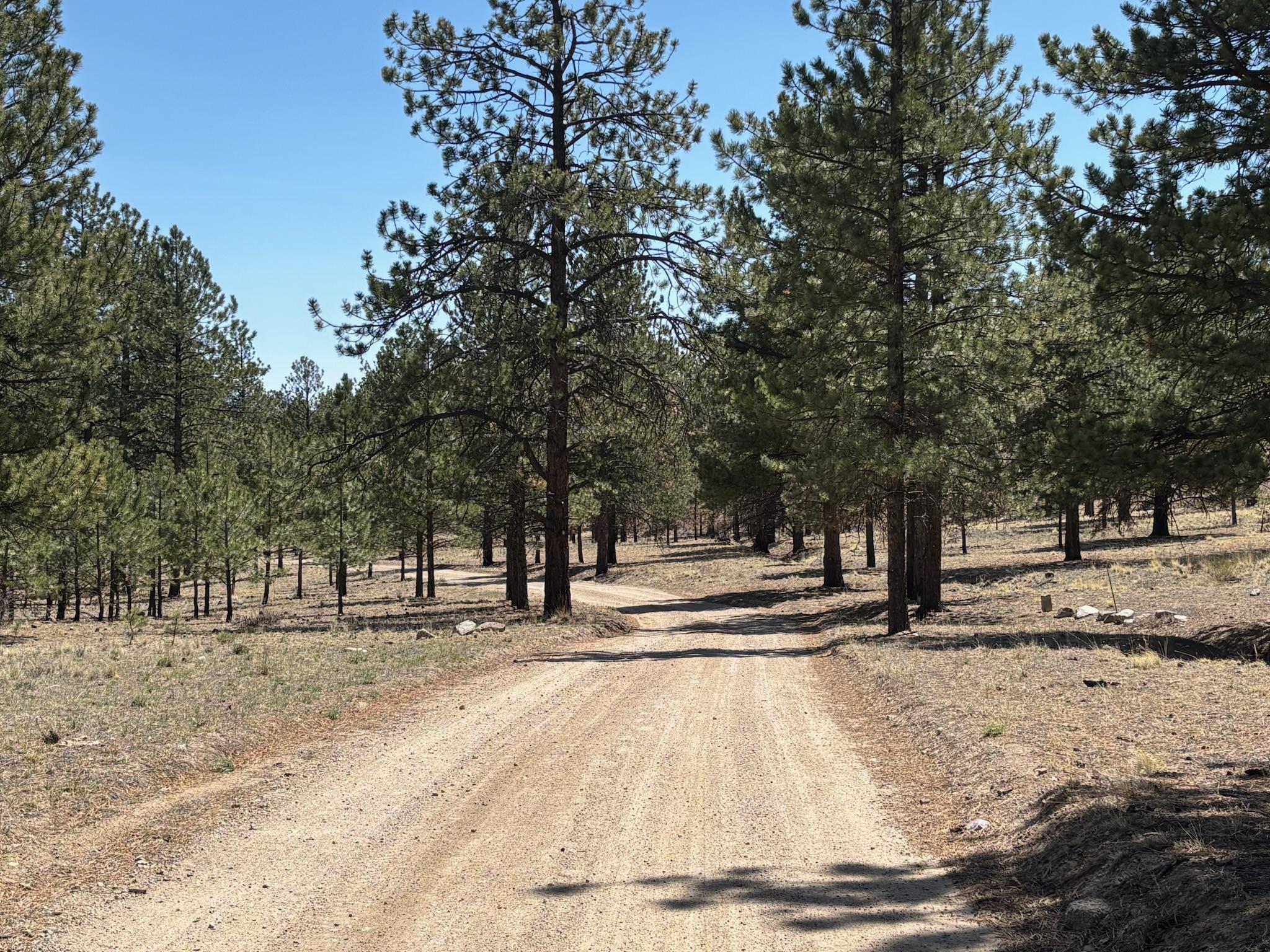 Eddy Creek Road