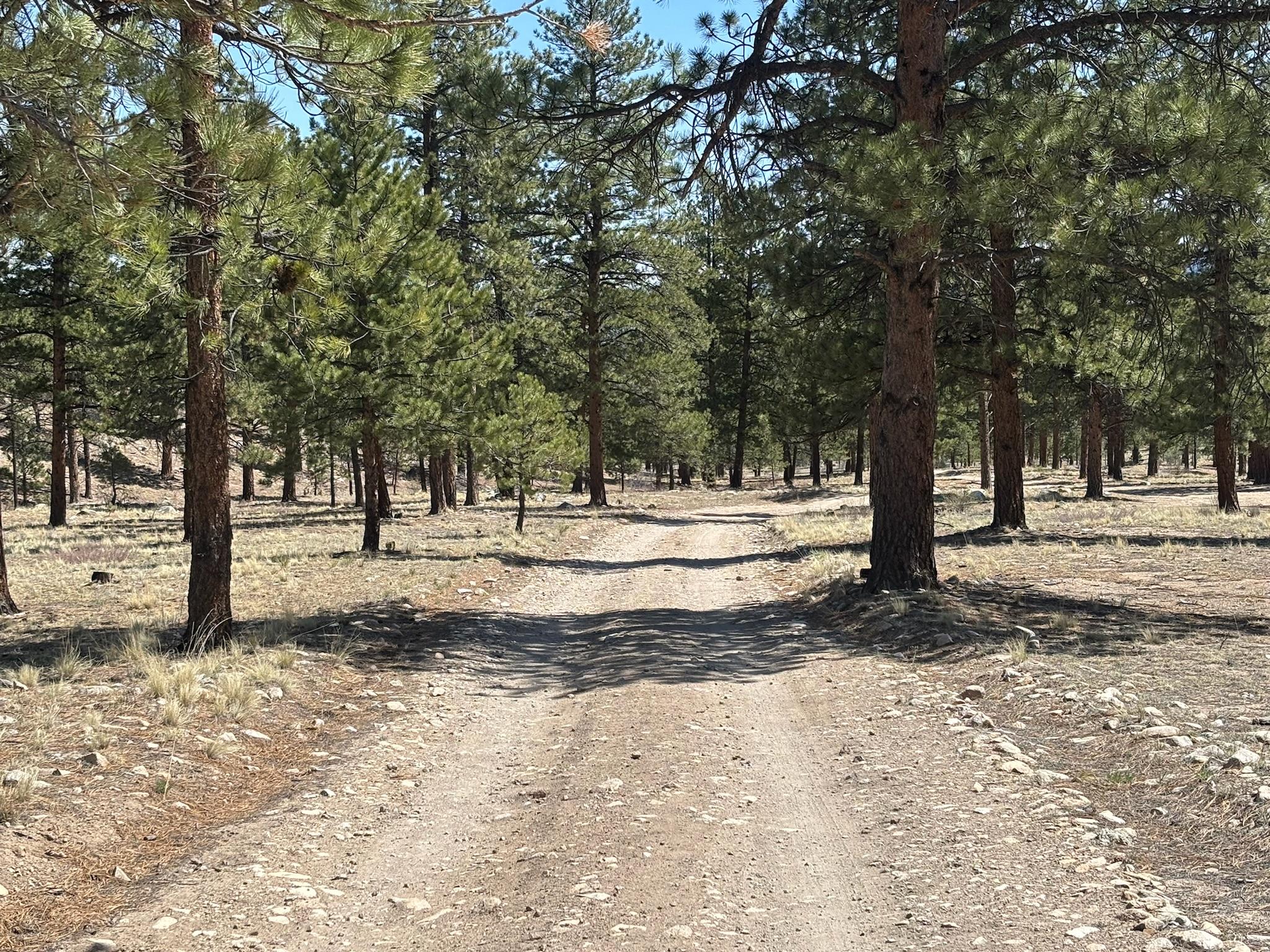 Raspberry Gulch