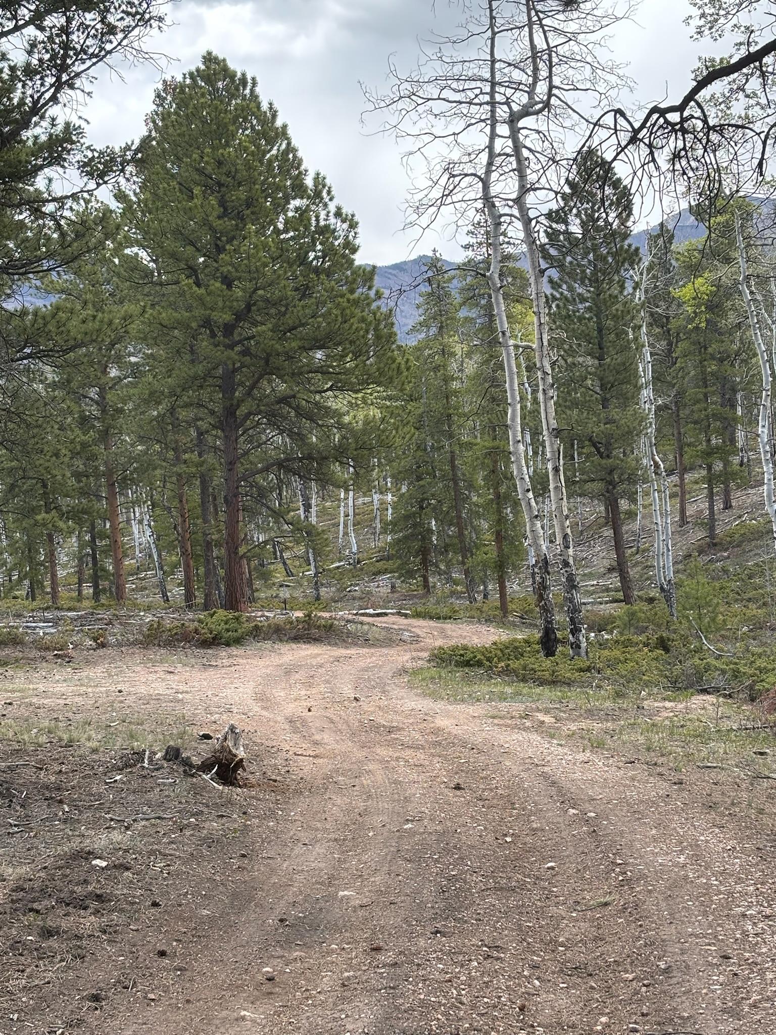 Lasso Road