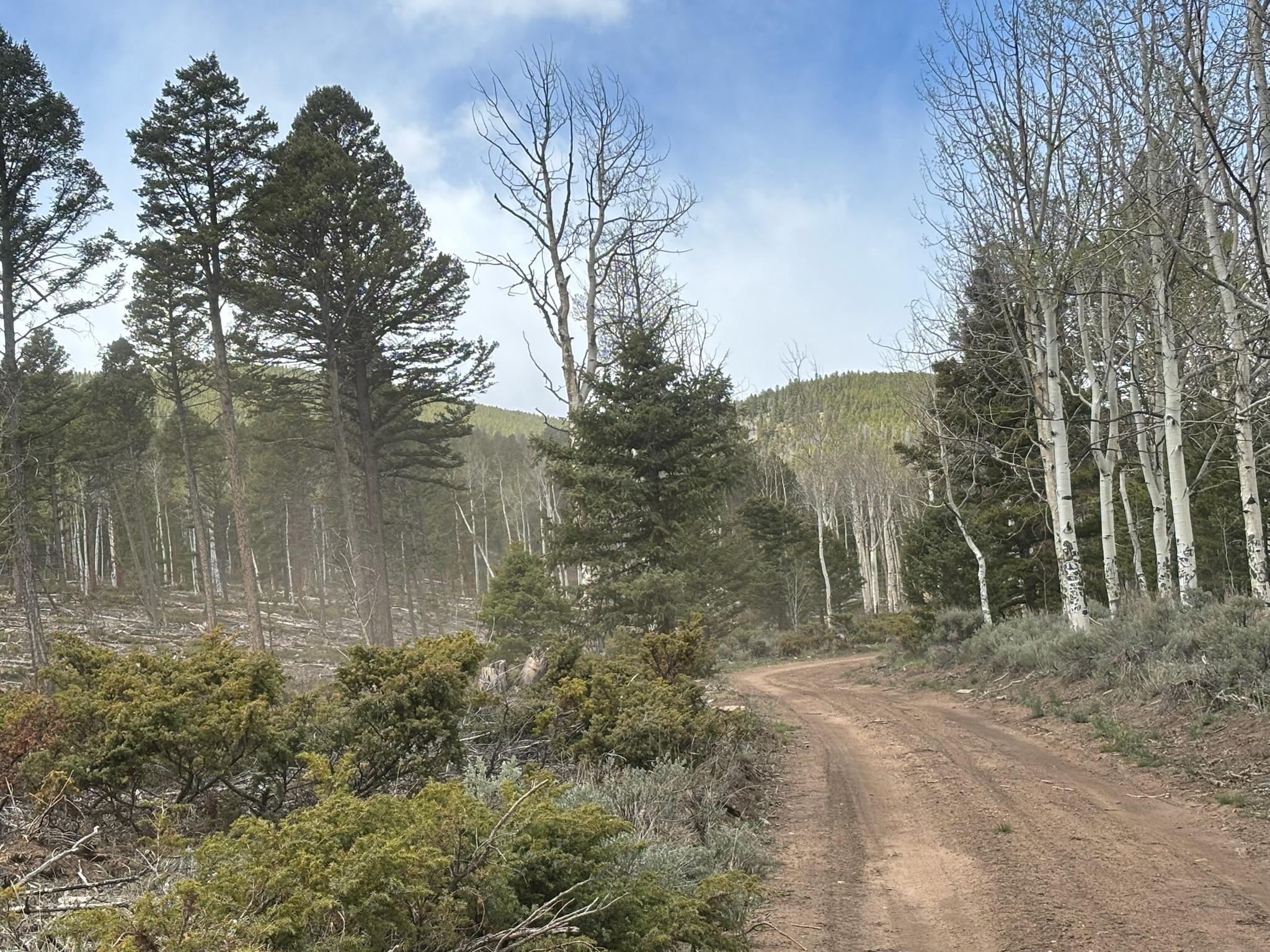 Raghorn Road