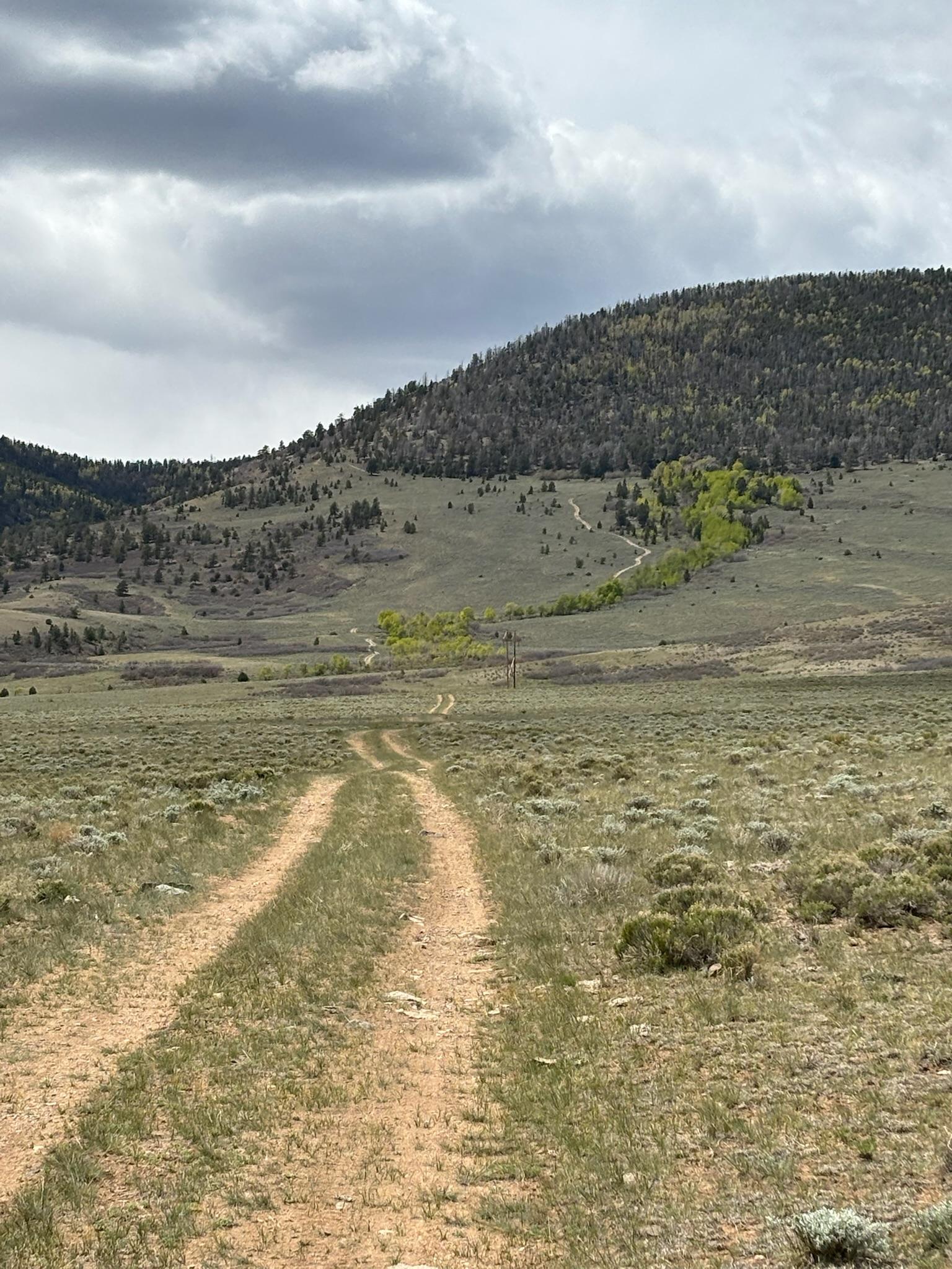 Turquoise Road
