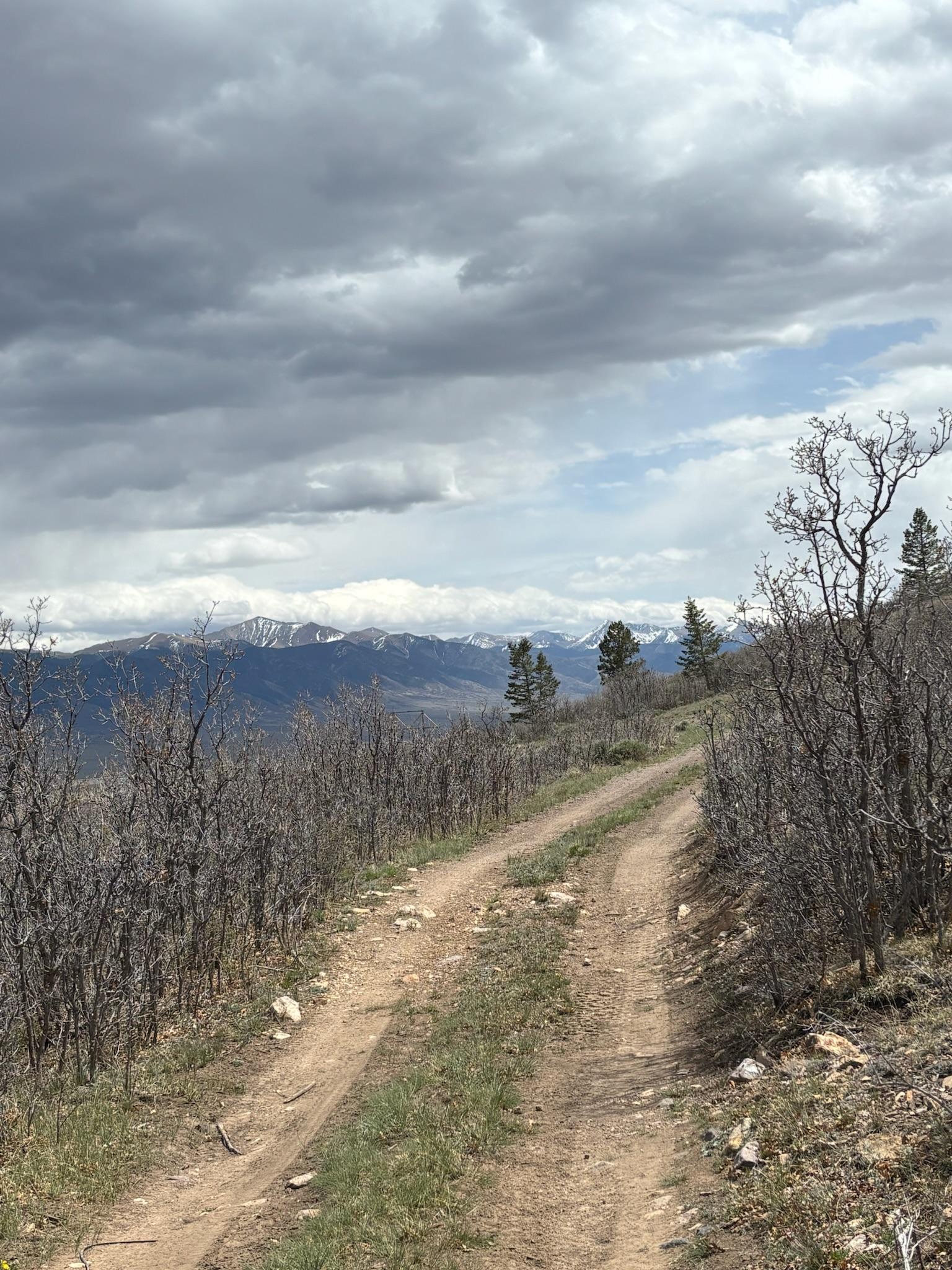 Wild Bill Gulch Road