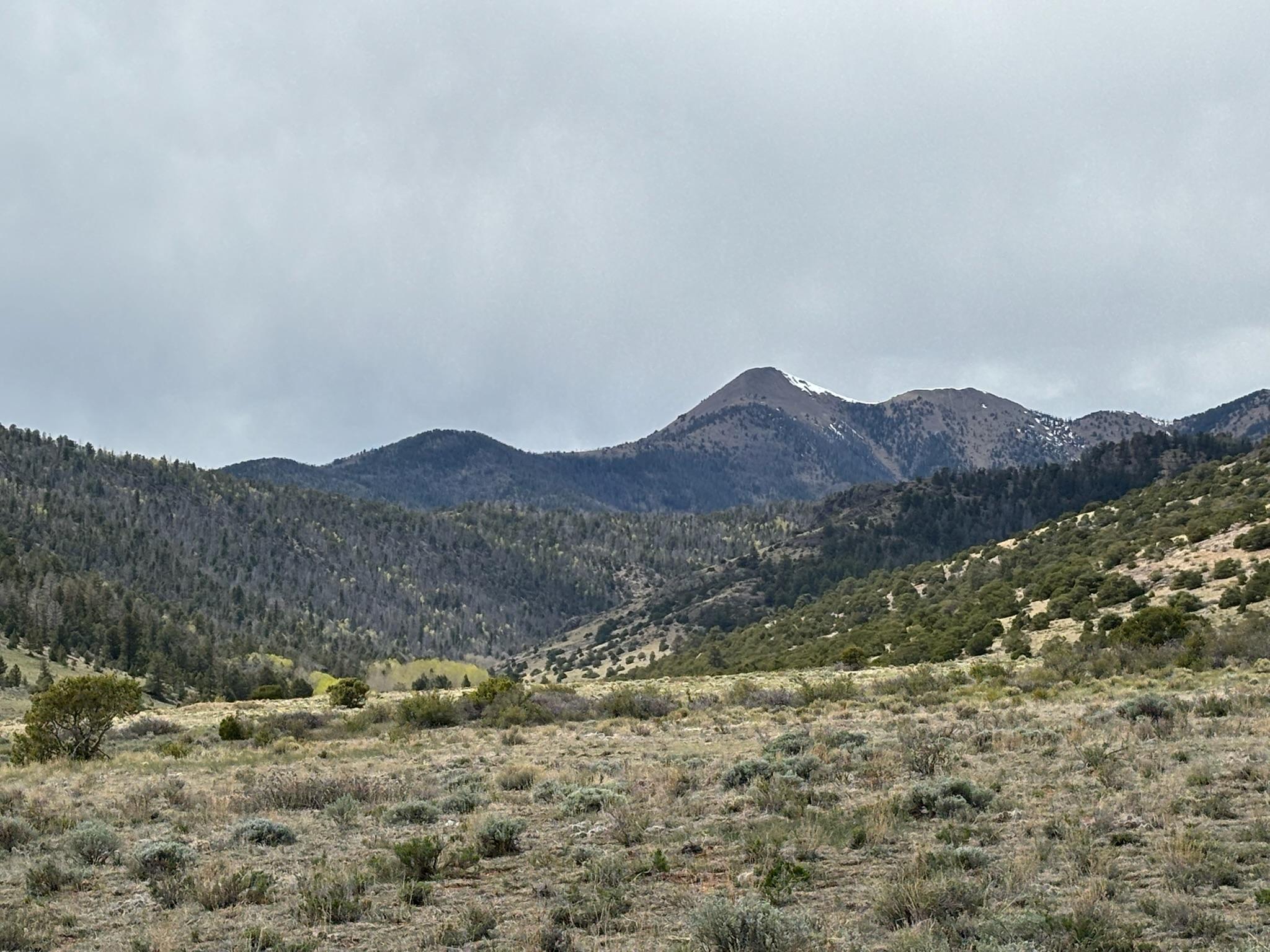 Kelly Creek Cutoff