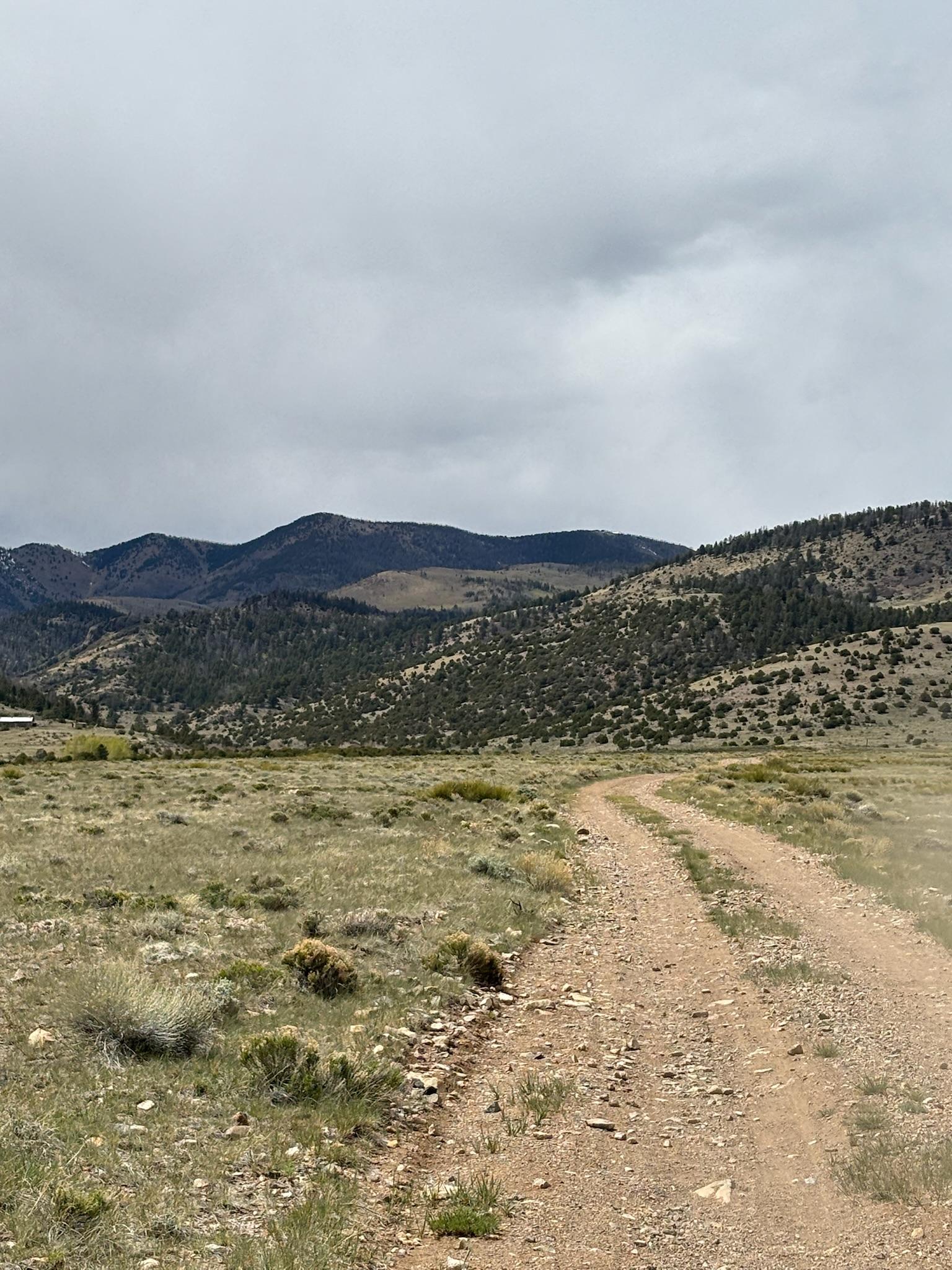 Kelly Creek Road