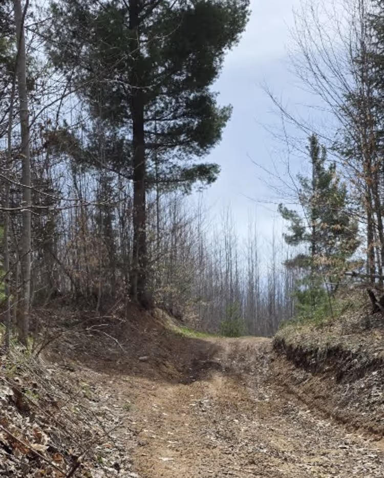 Holms Road Loop