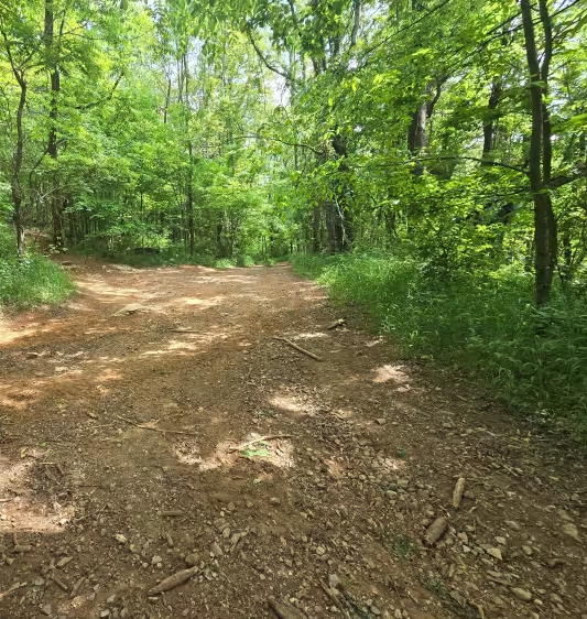 Trail 1