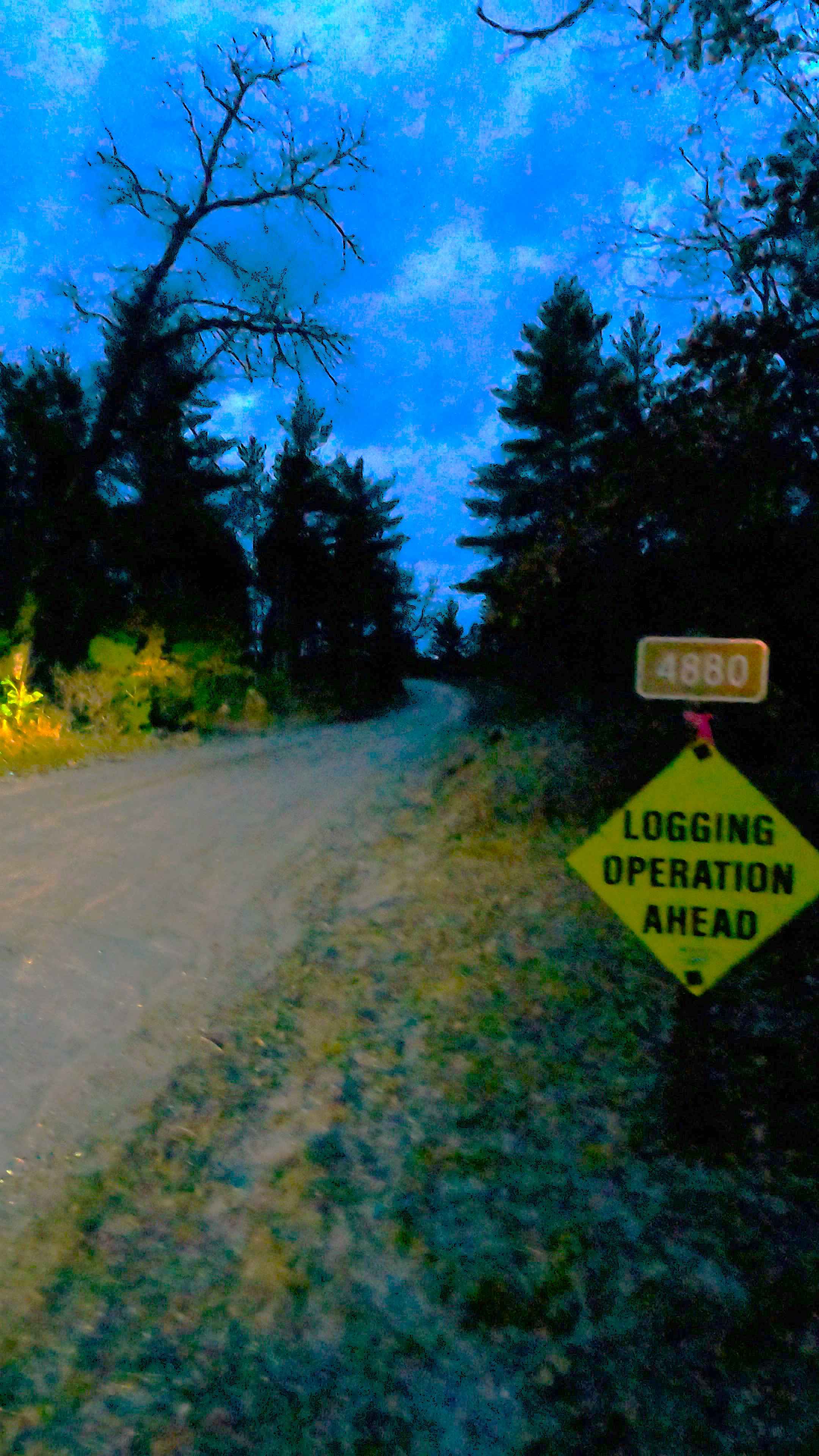 Indian Lake Road - FS 4880