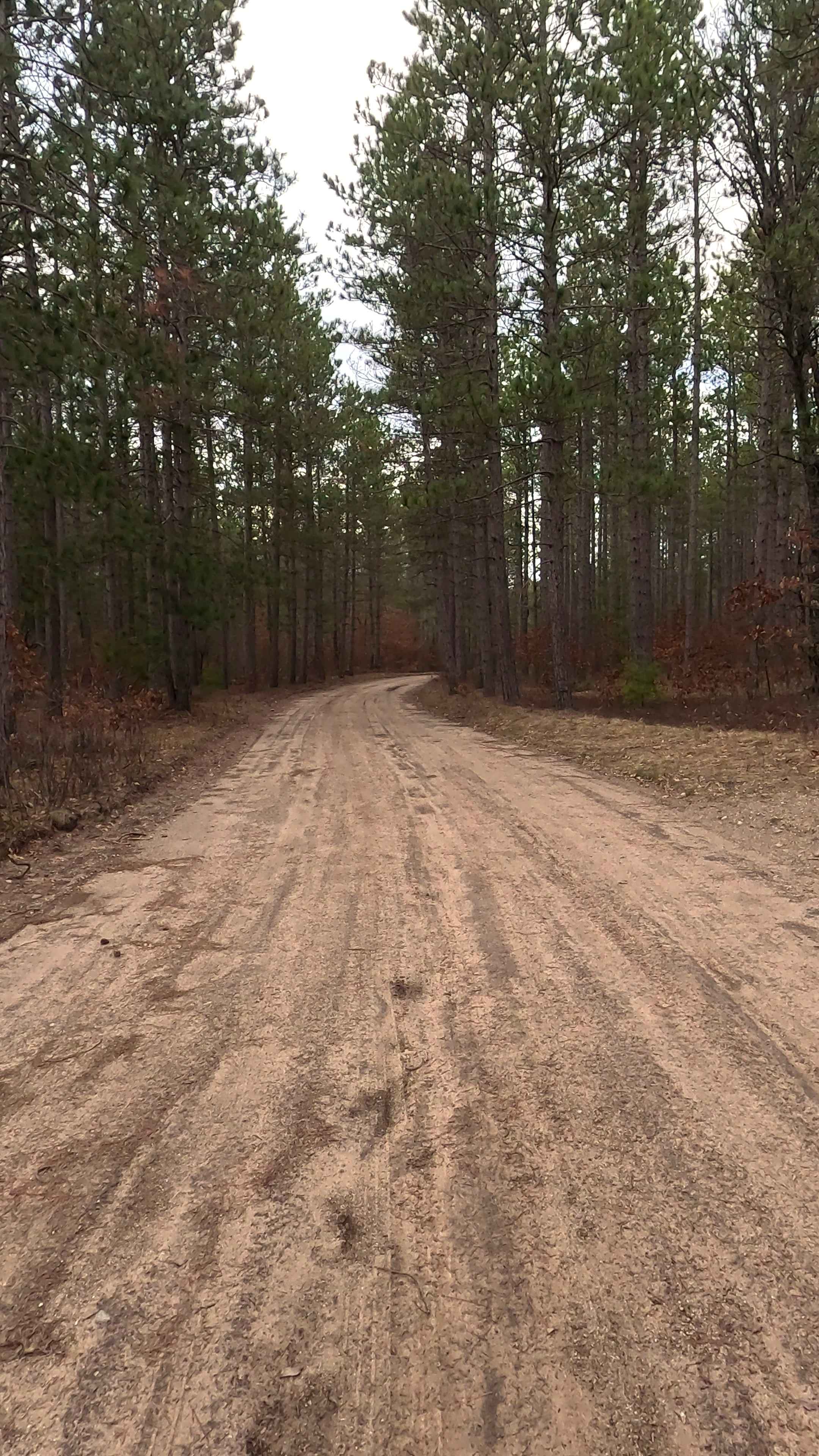 Perry Creek - FS 4100