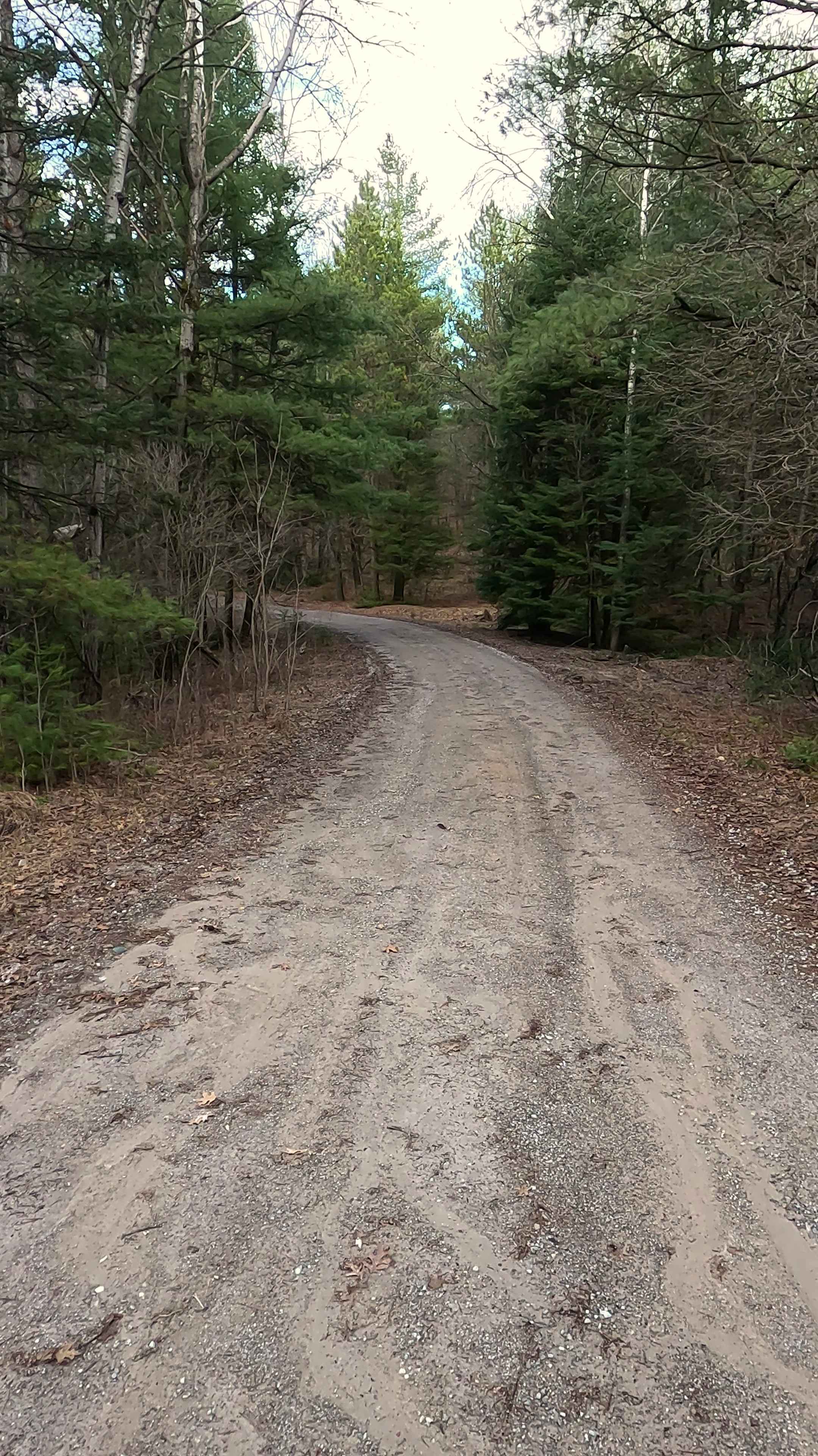 Wilcox Drive - FS 4093