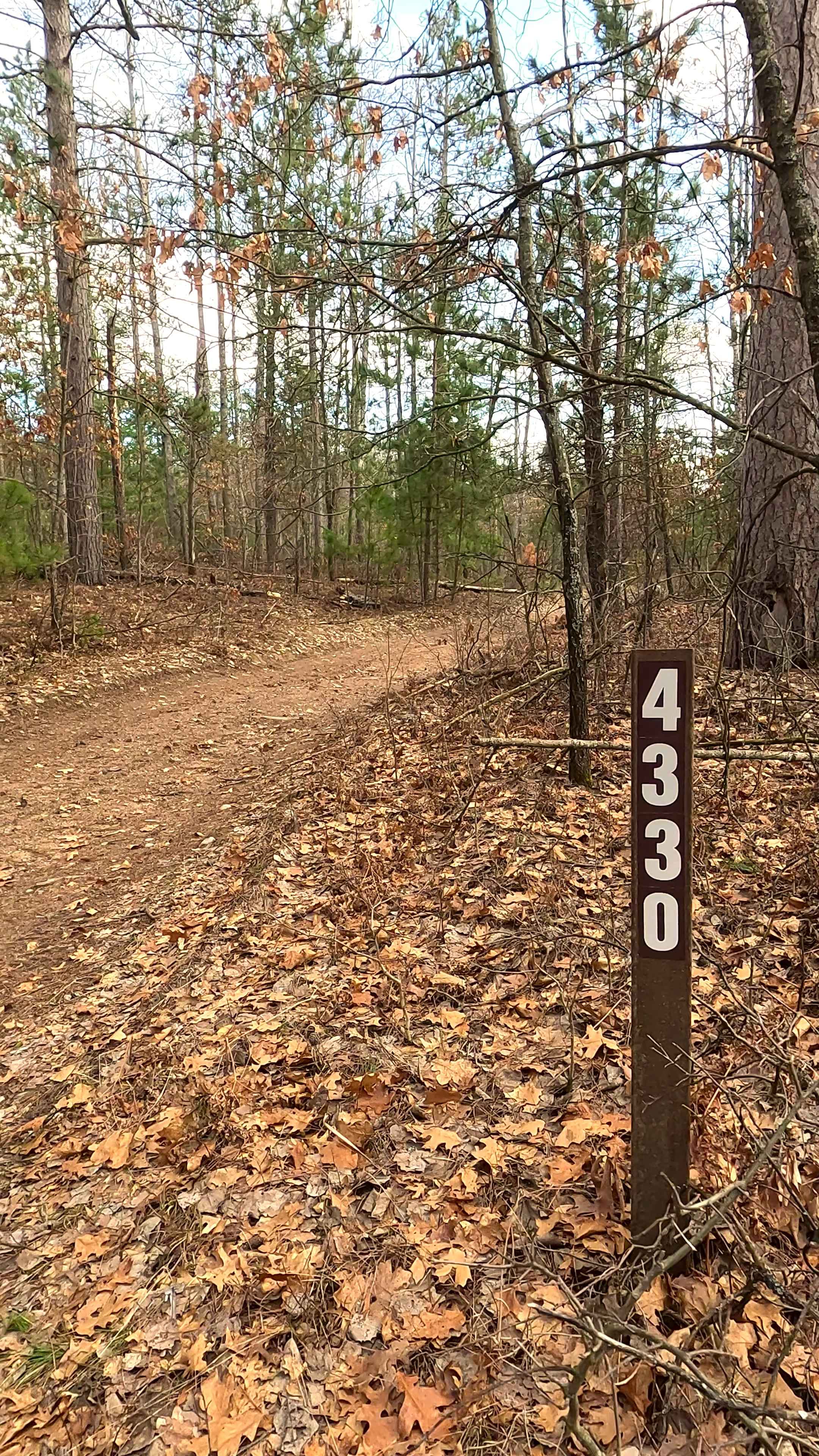 Woods - FS 4330