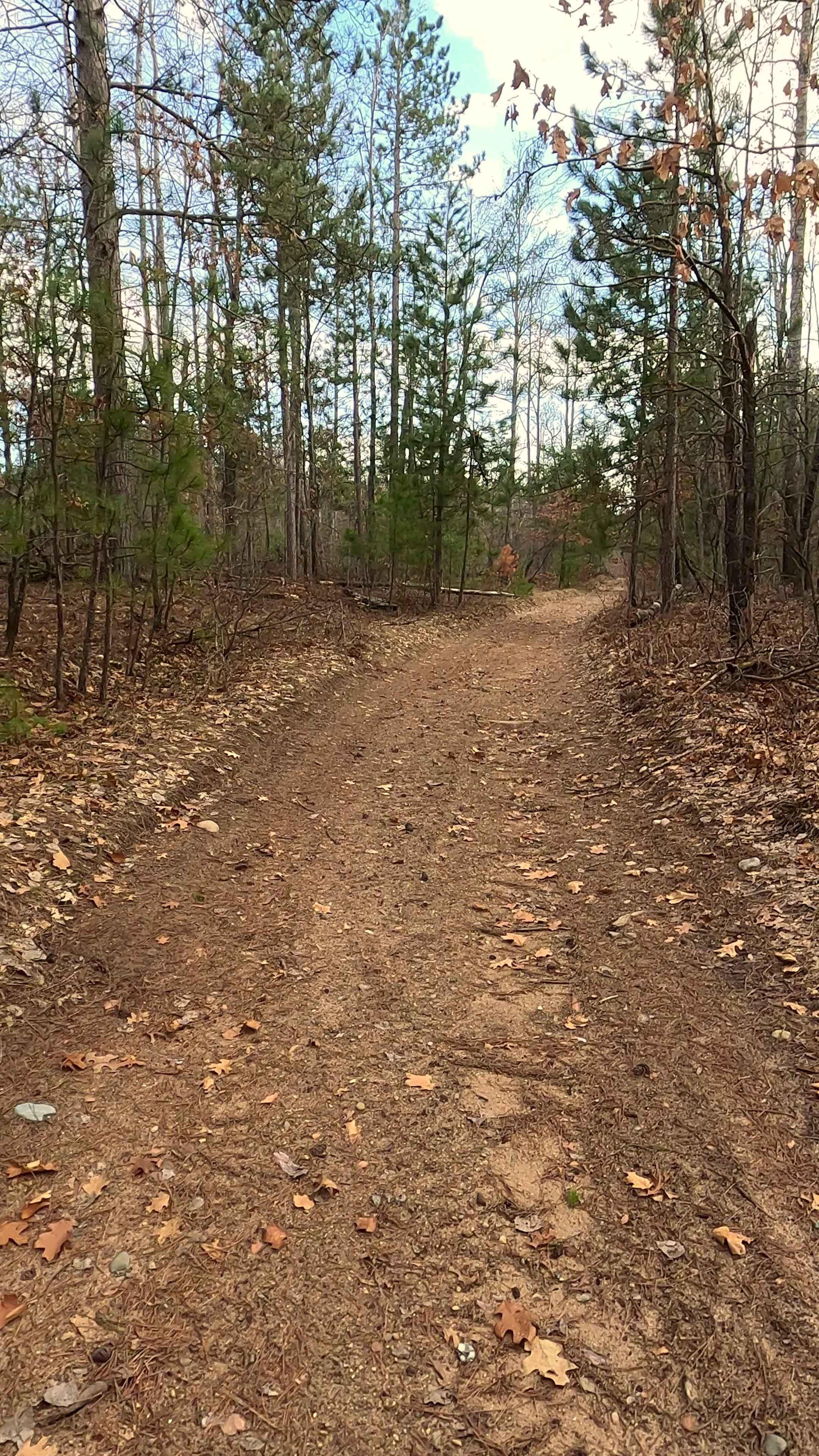 Woods - FS 4330