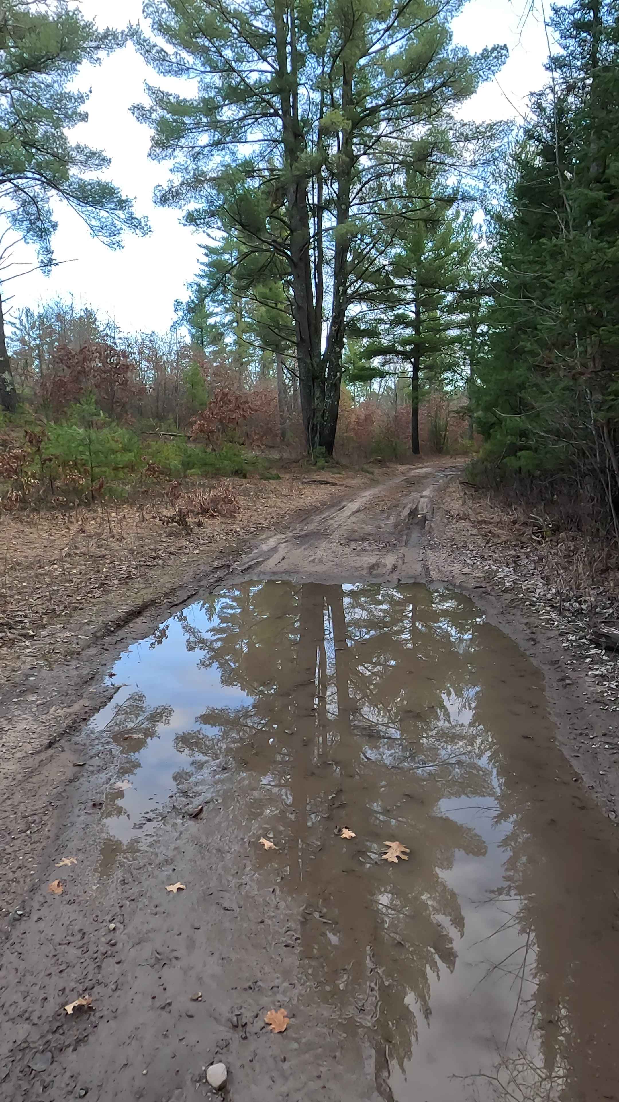 Au Sable Loop - FS 4368
