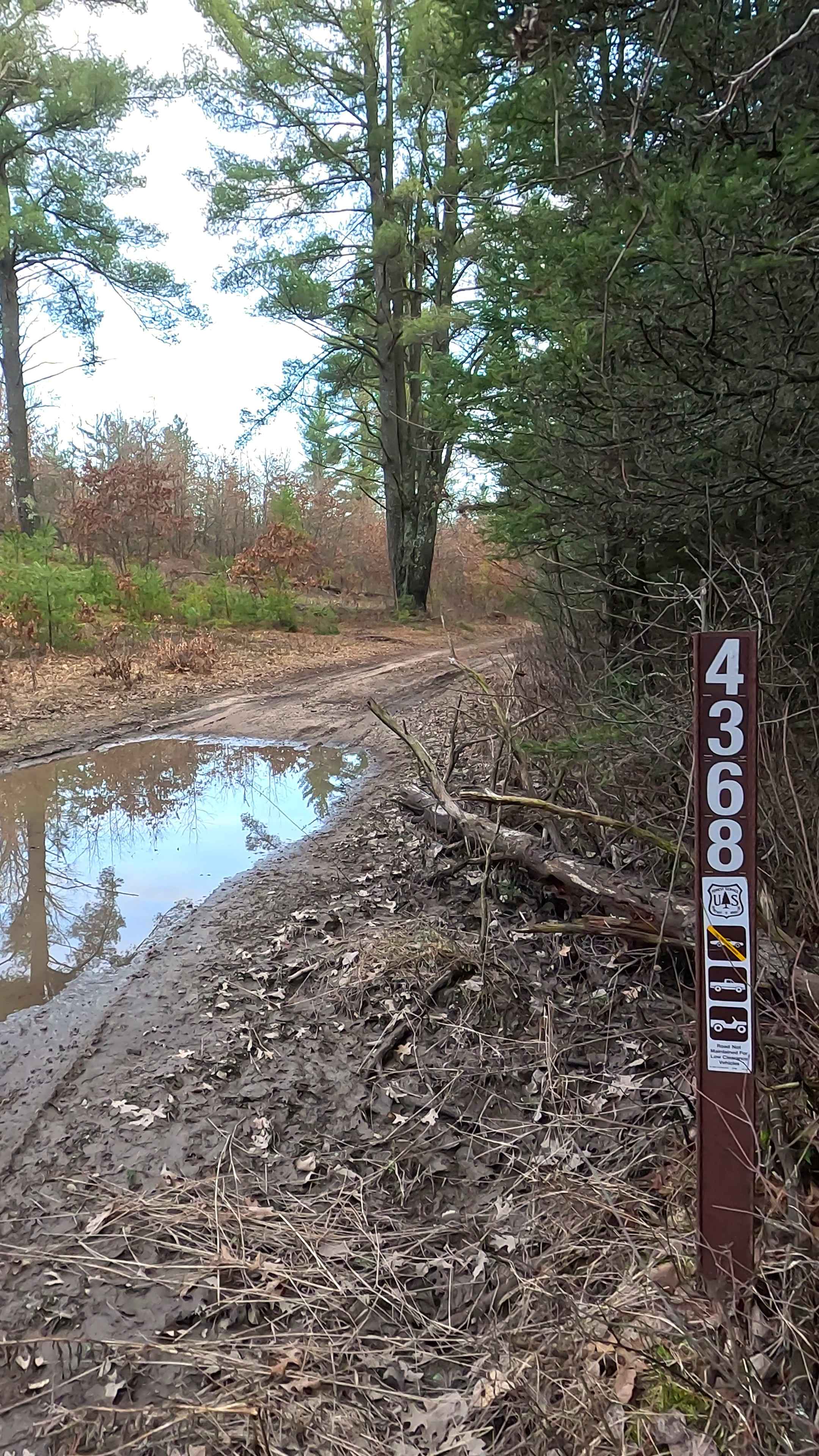 Au Sable Loop - FS 4368