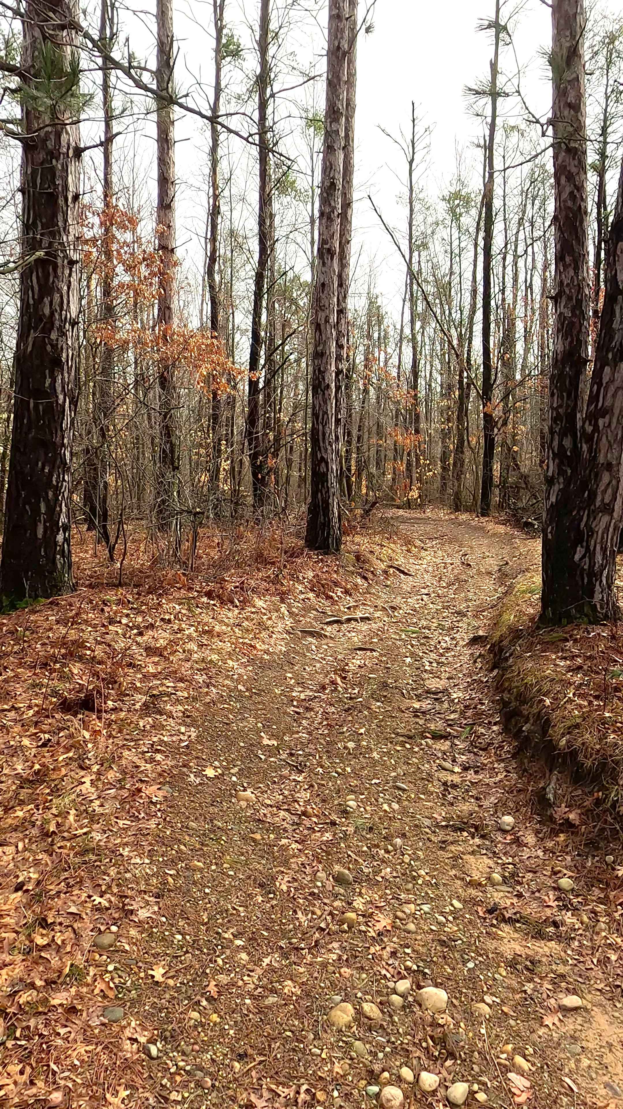 ORV H-57 : Mack Lake Loop Trail South