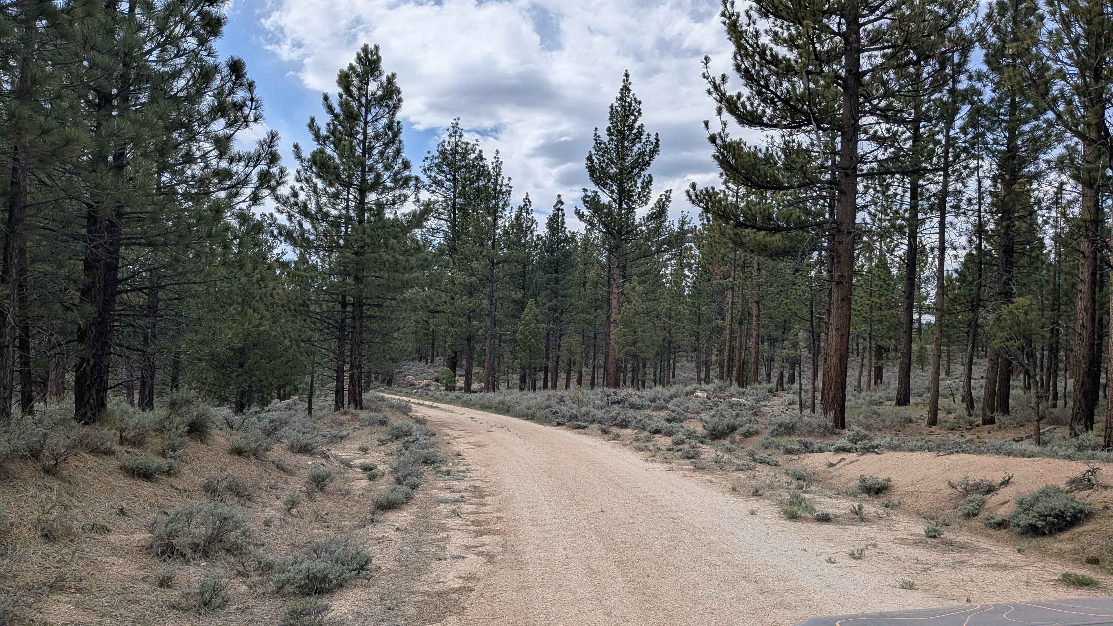 North Rattlesnake - FS 24S33