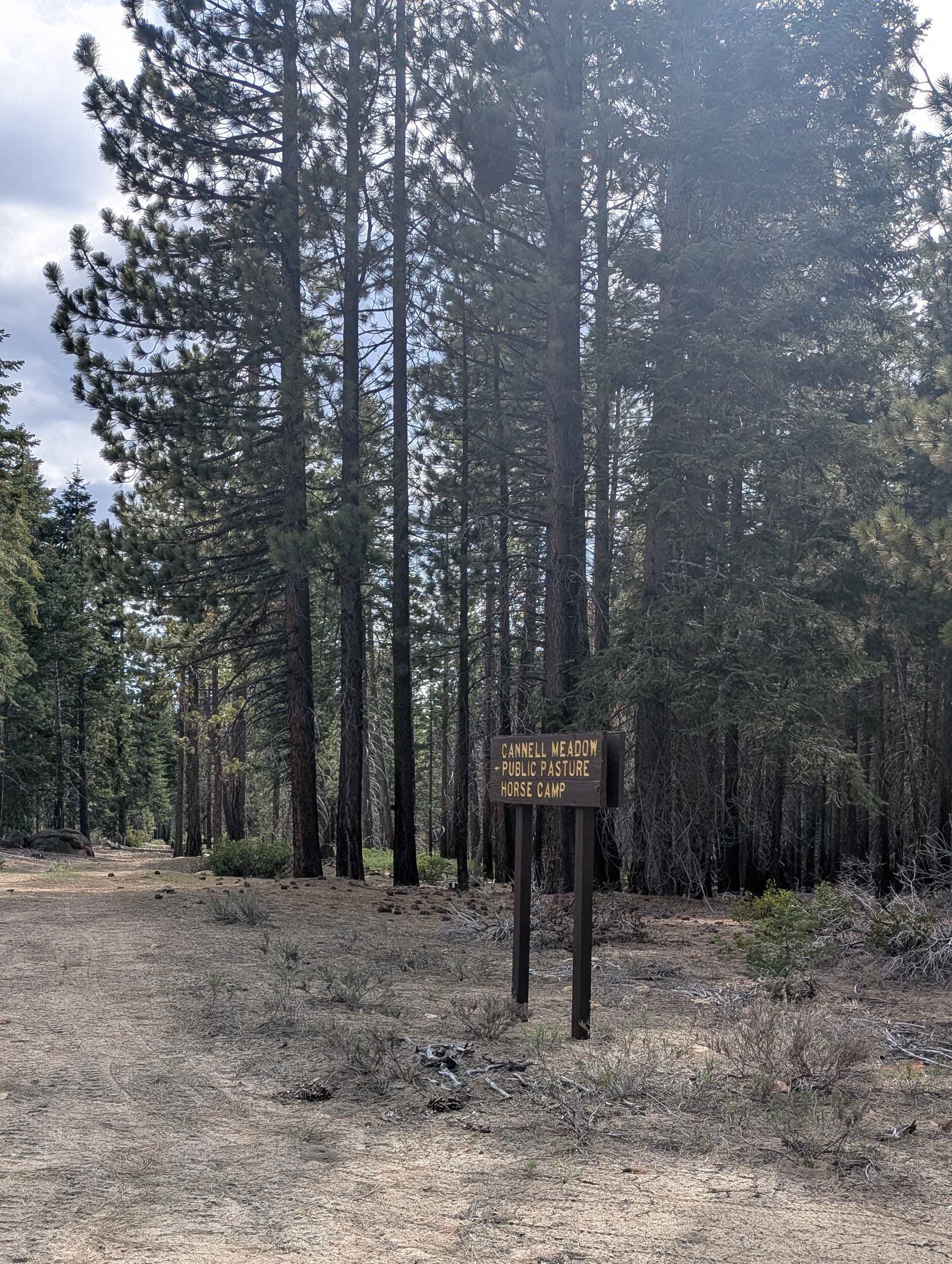 Cannell Meadow - FS 24S56