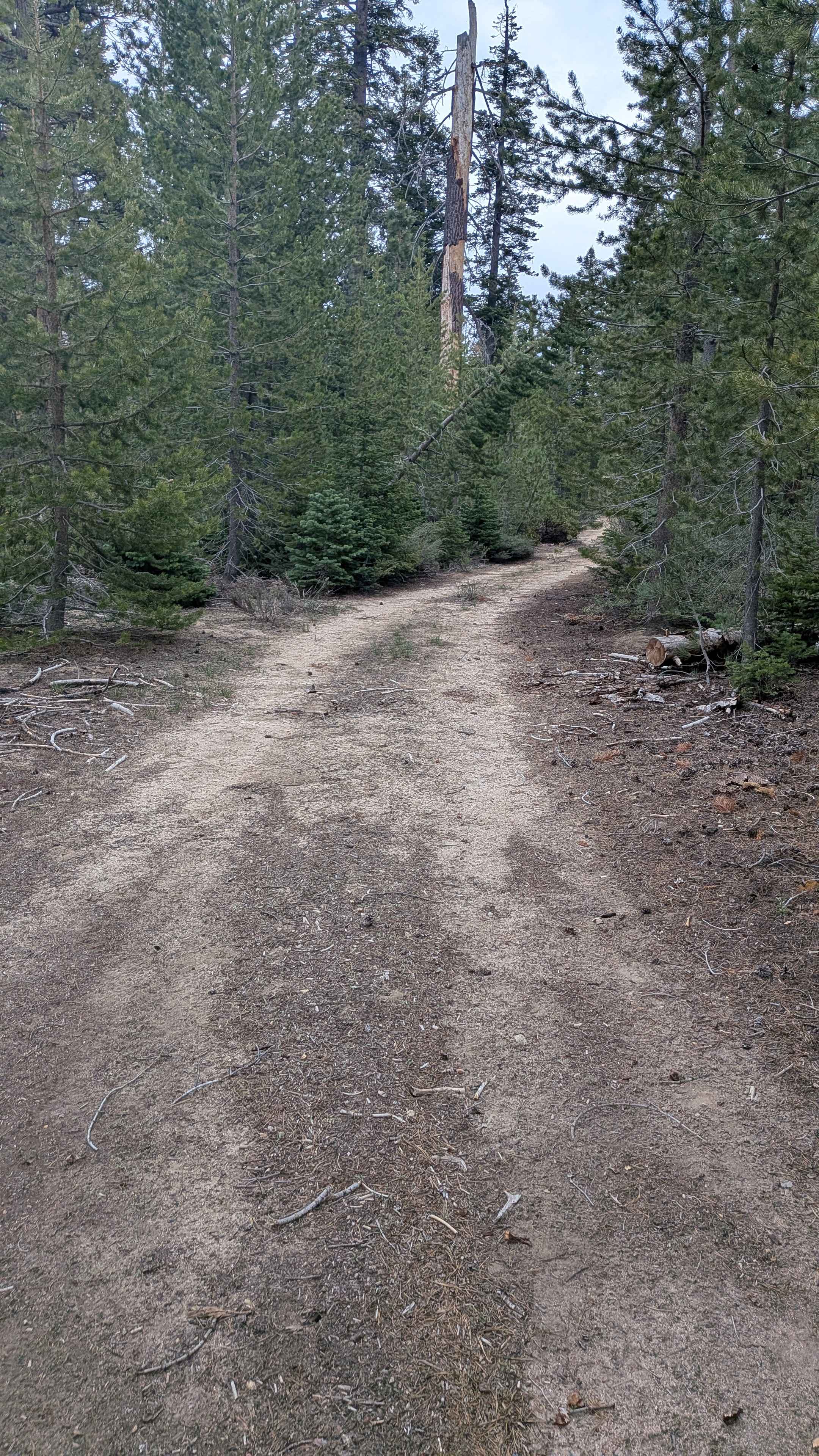 Upper Dry Lake