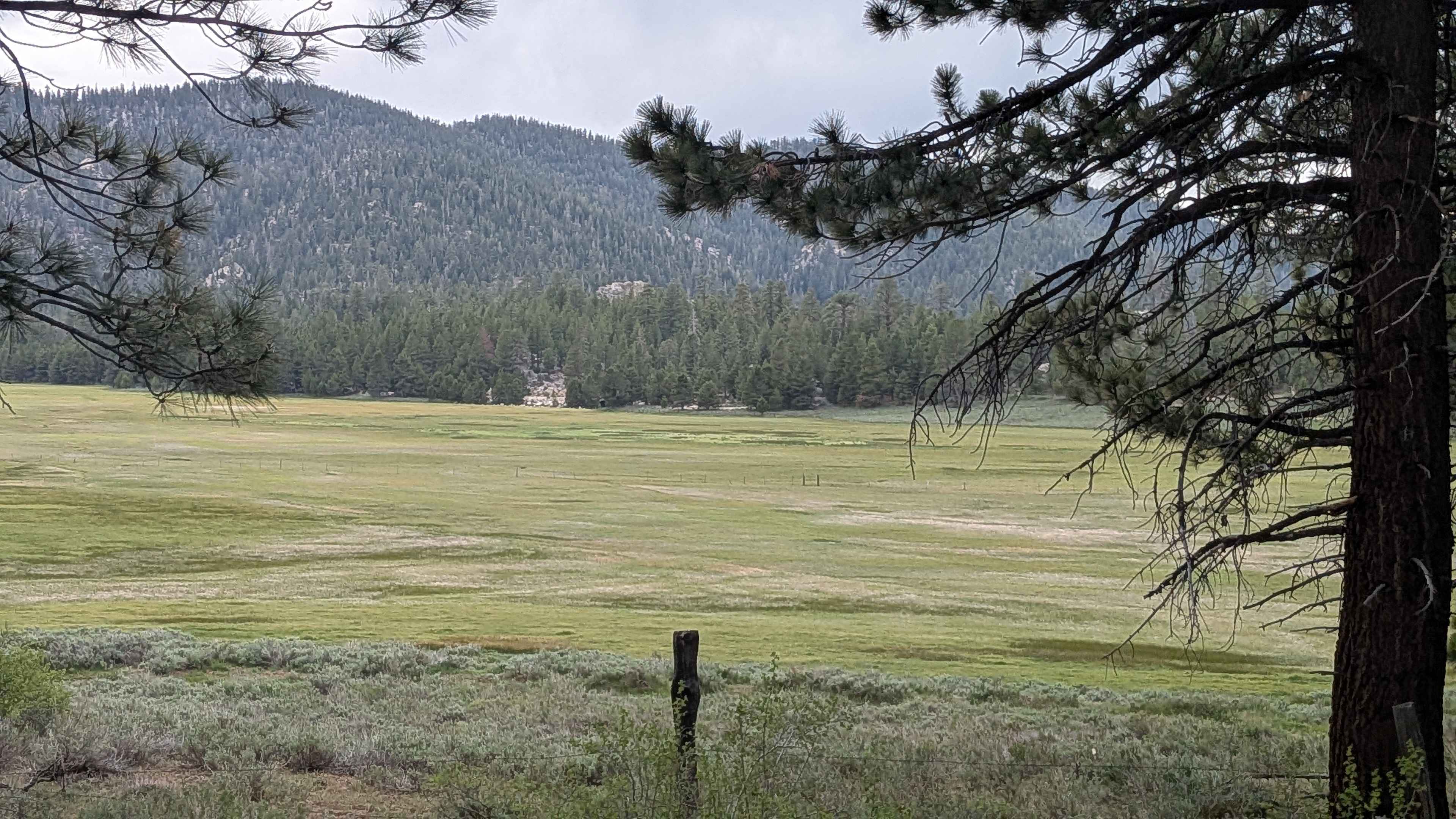 Big Meadow - FS 23S07