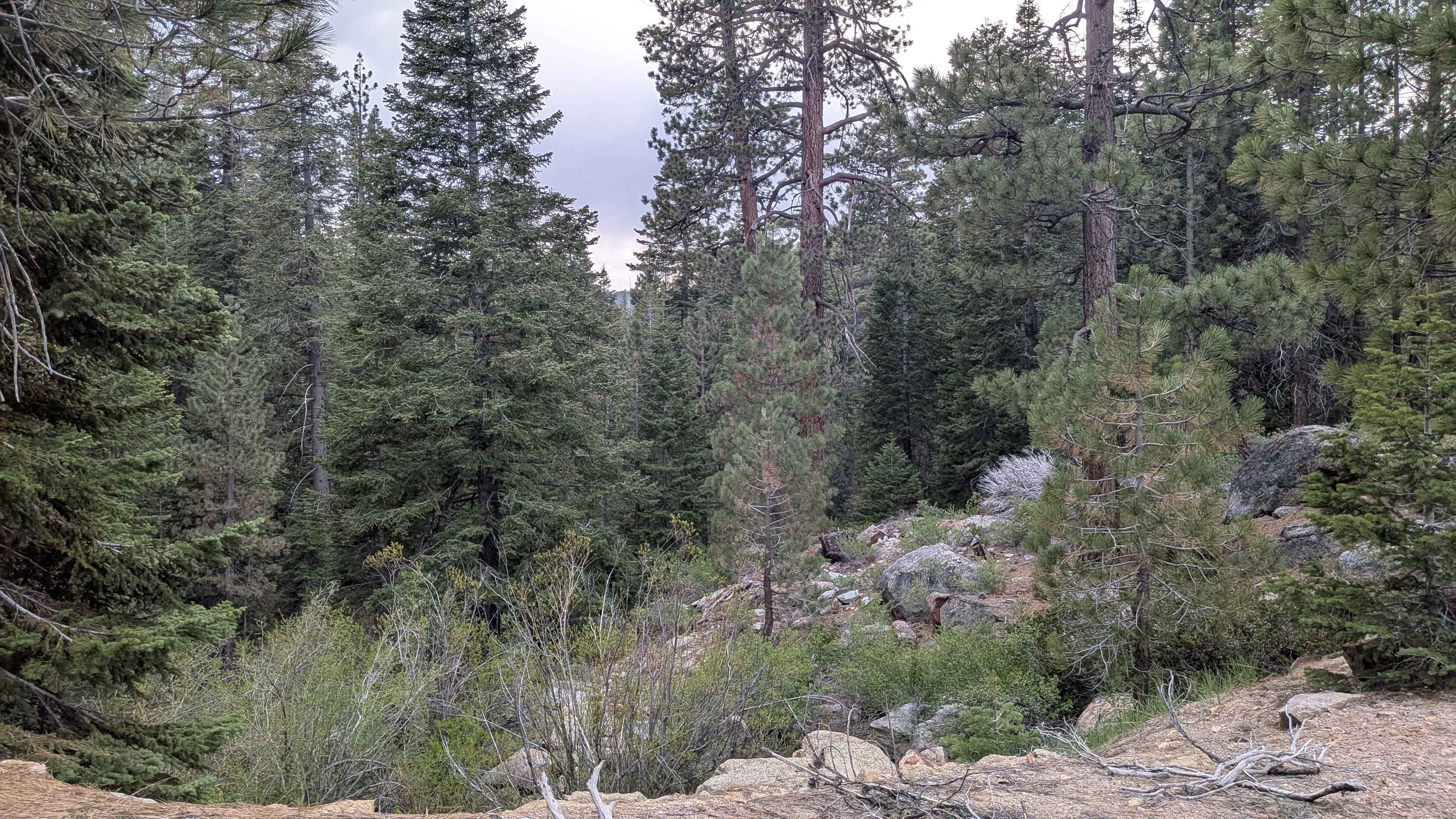 Deadwood - FS 23S09