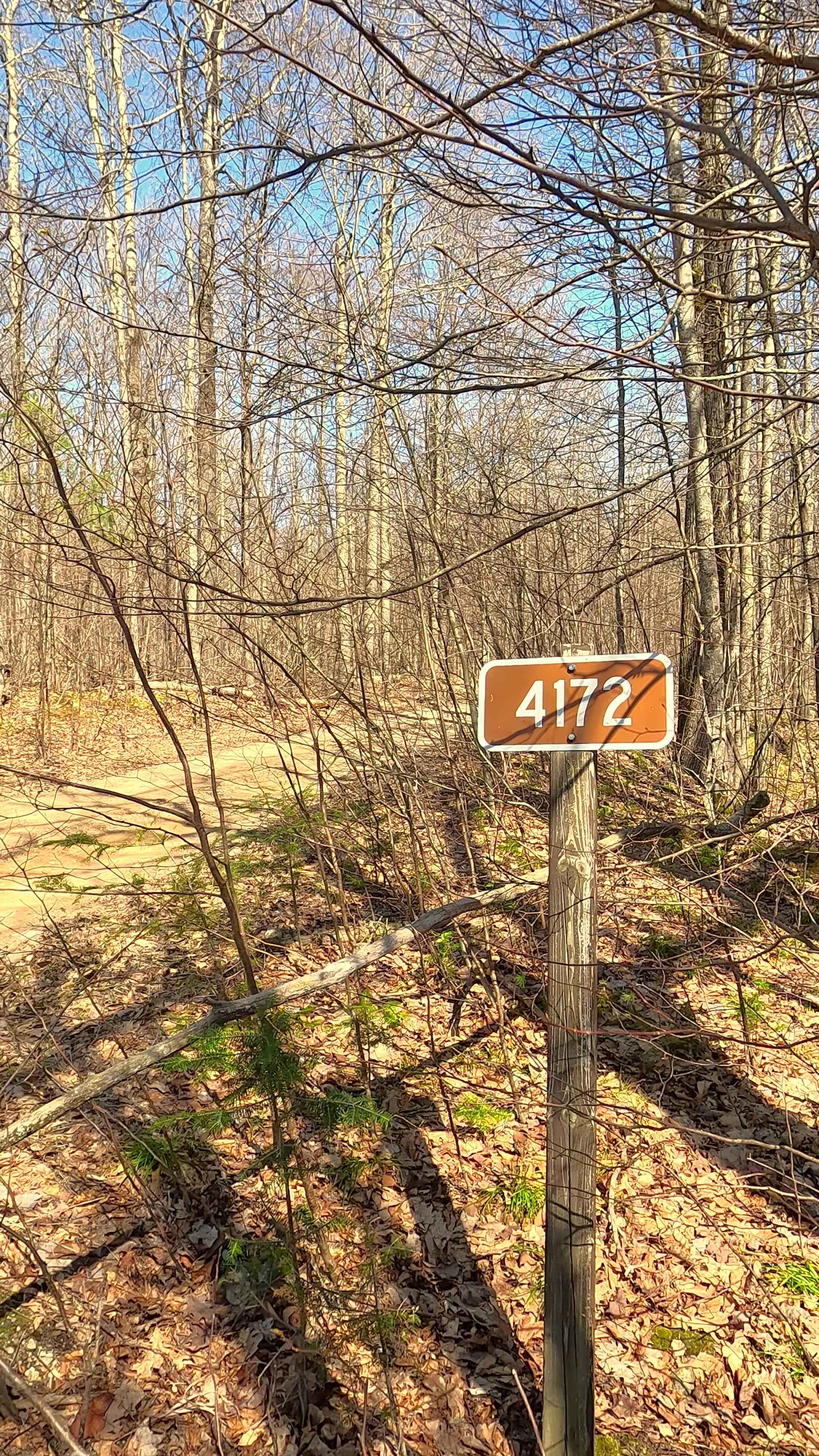 Hardwood - FS 4172