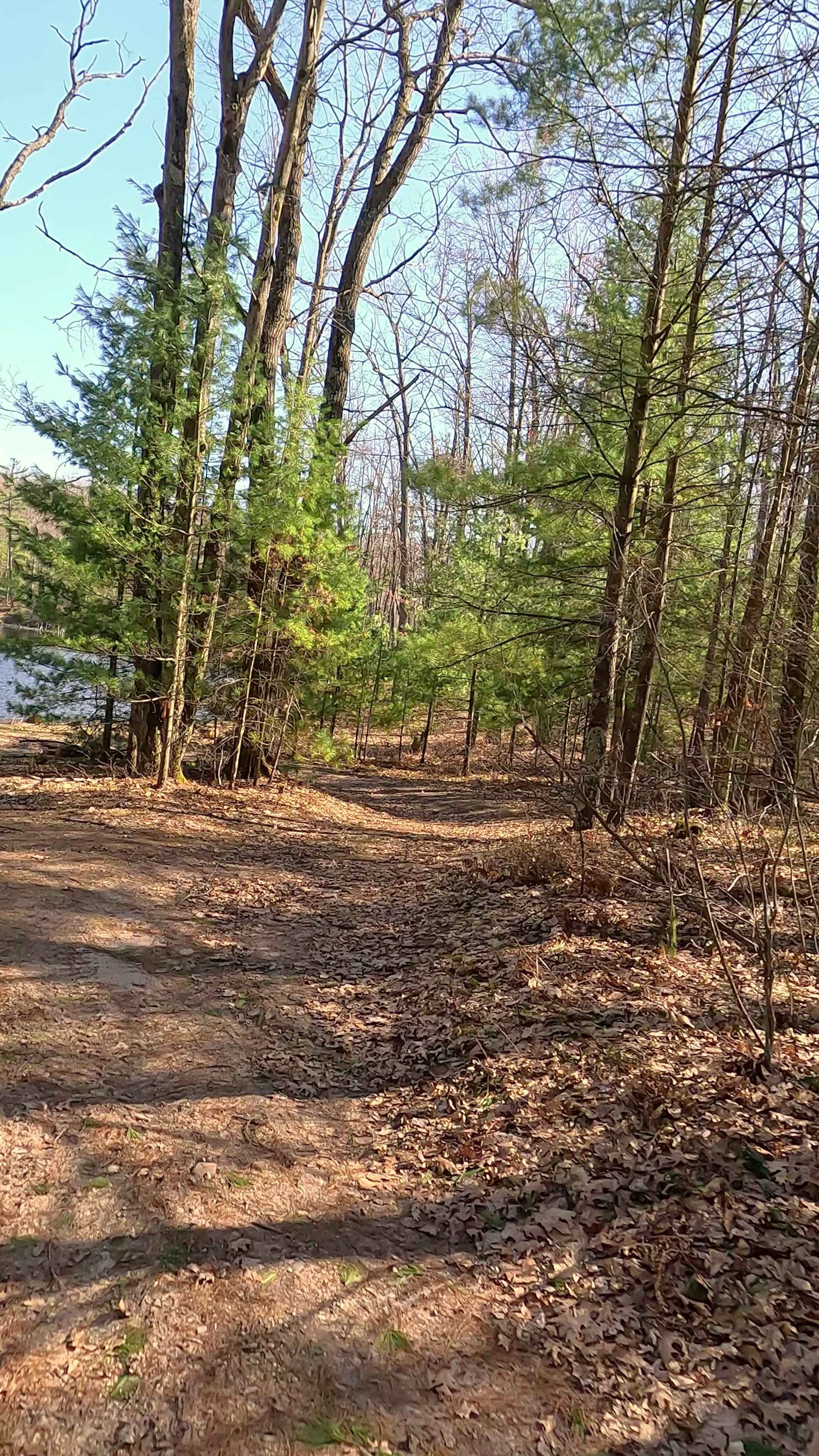 Bass Lake - FS 4227