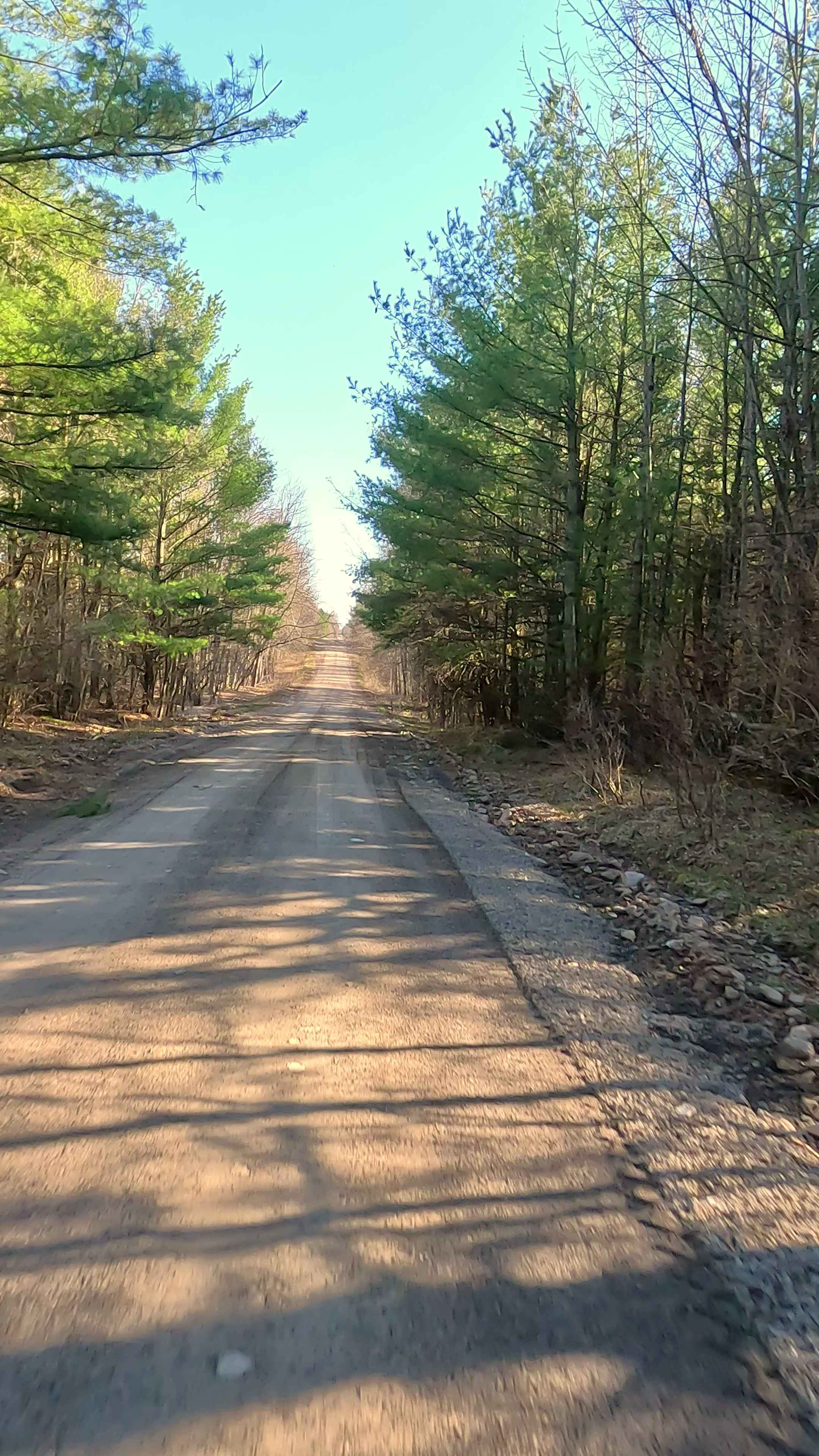 Michaud Road and Goodar Road