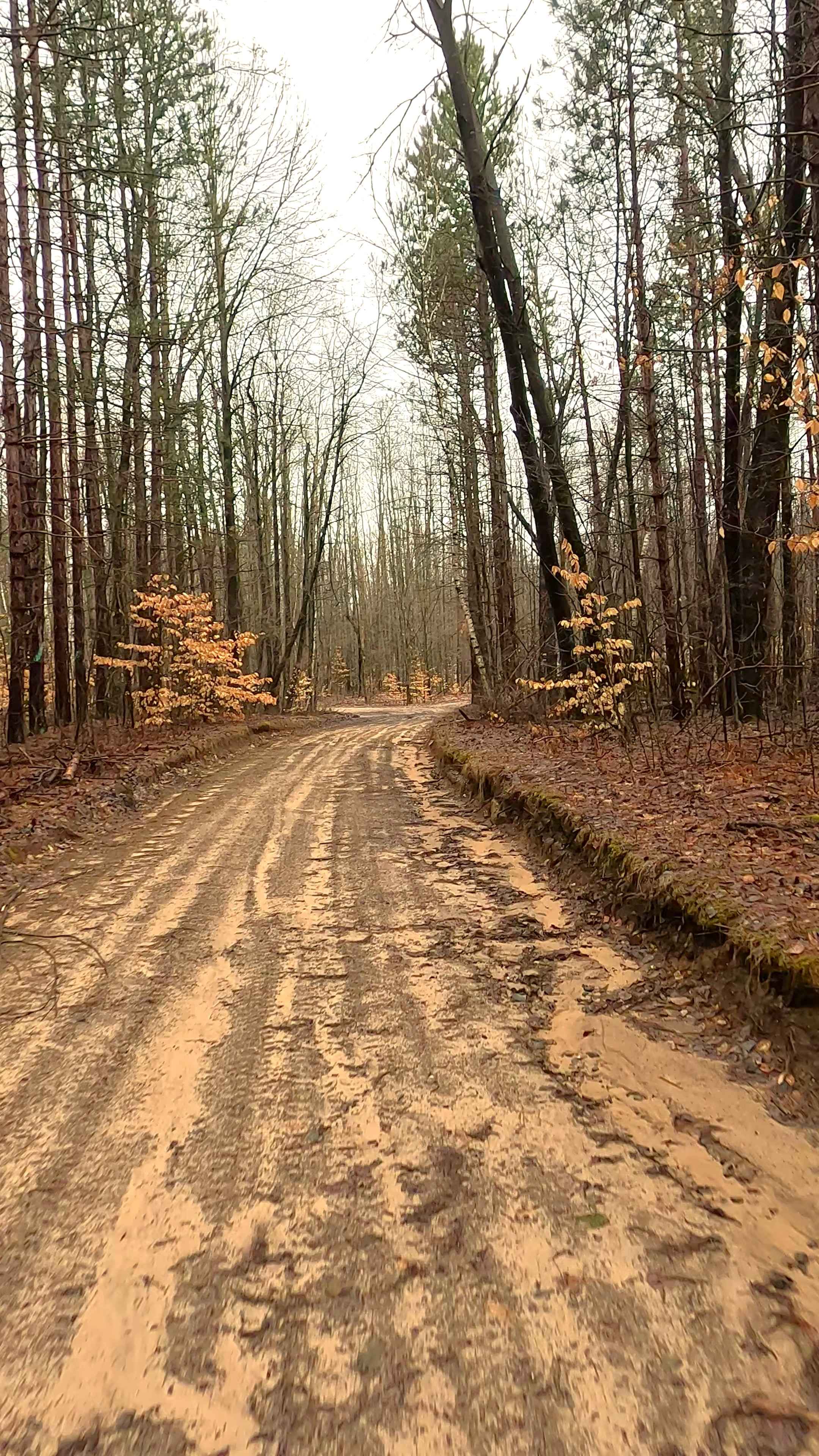 ORV H-57 5 & 8 : Mack- Maltby Hills Loop Trail