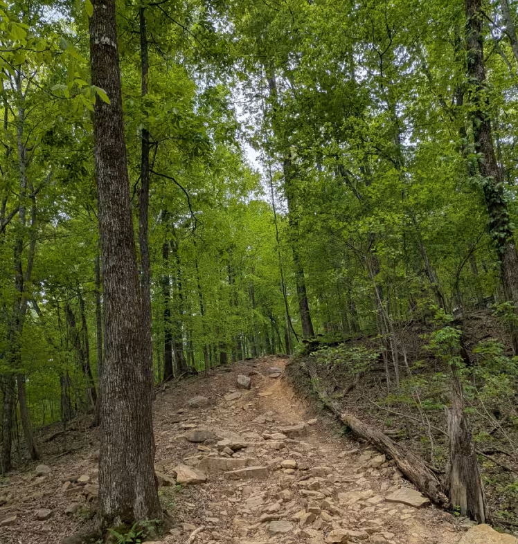 Trail 90