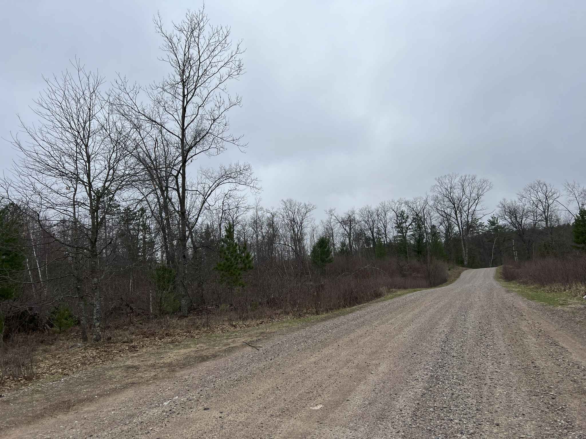 Saul Springs Road - FS 2336