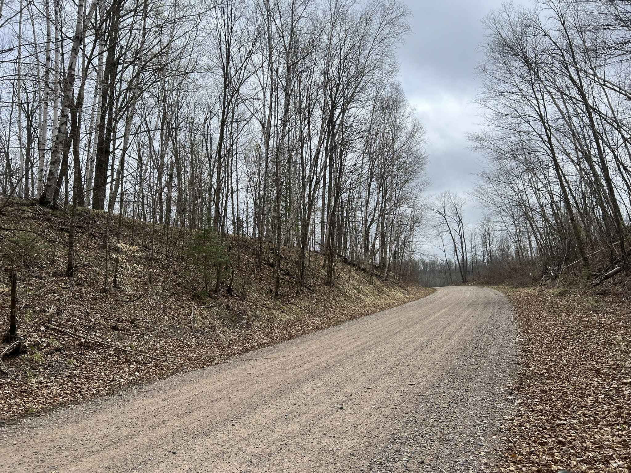 Saul Springs Road