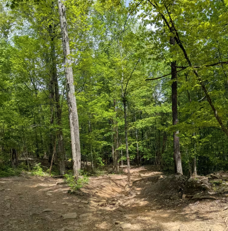 George Winters Trail (GWT)