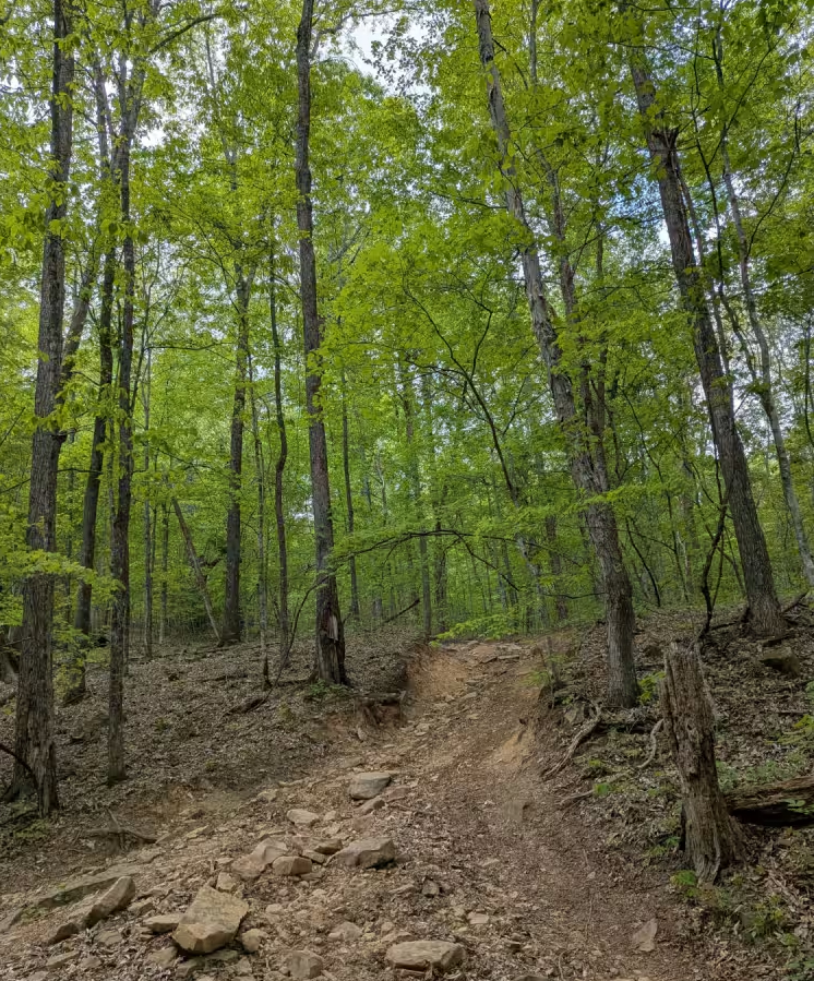 Trail 27