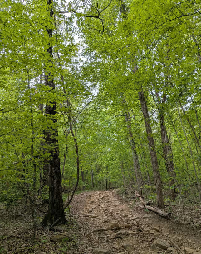 Trail 27