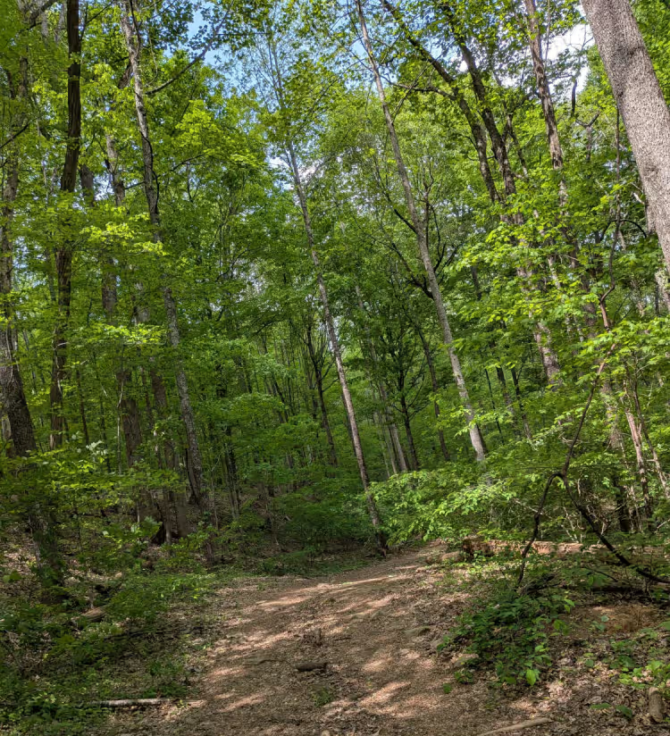 Trail 87