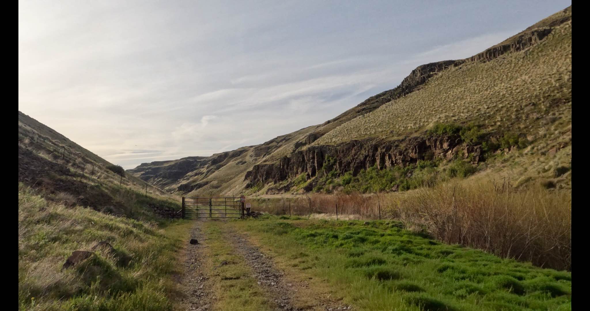 Cayuse Road