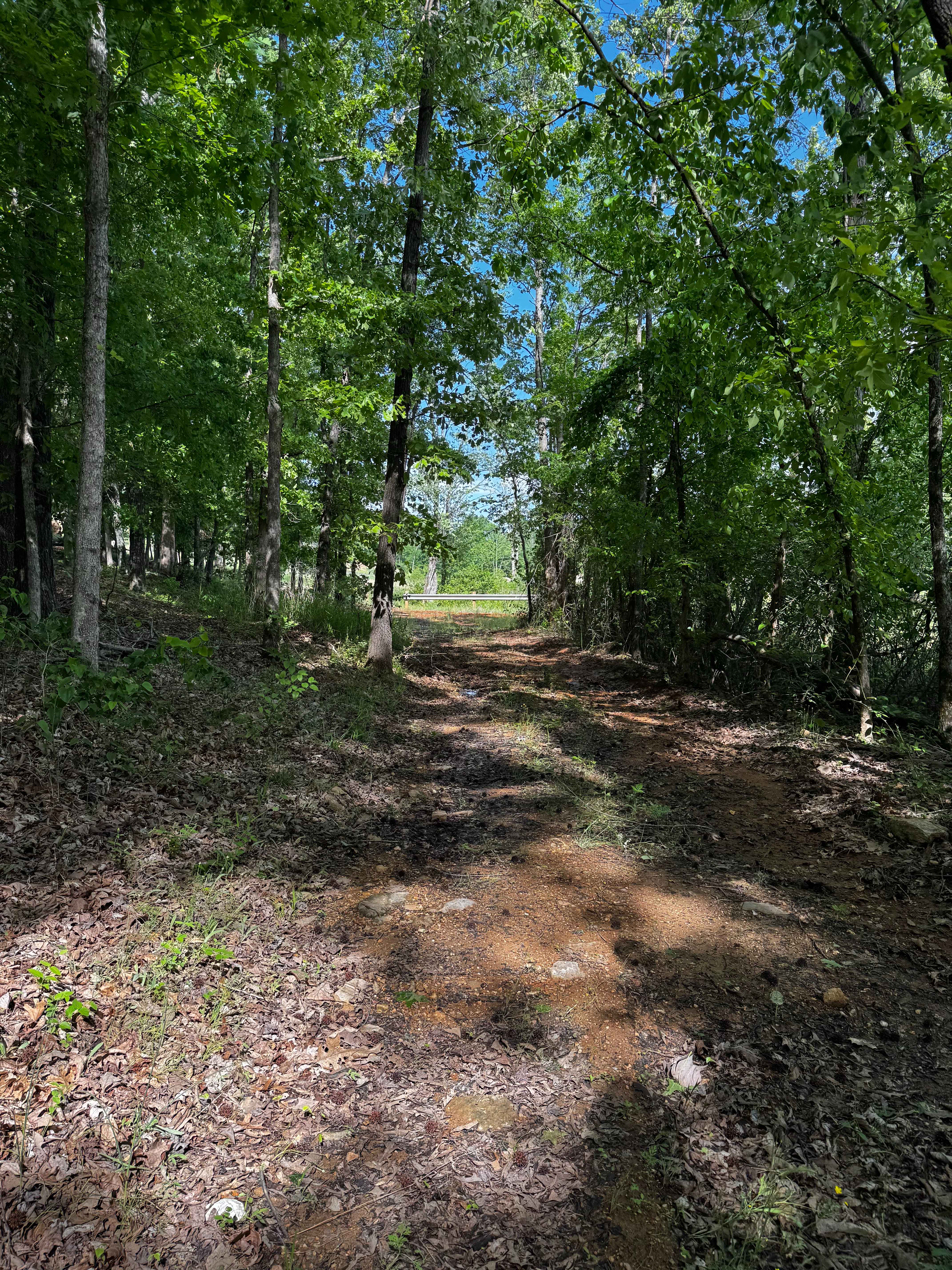 Red Clay Cut Thru
