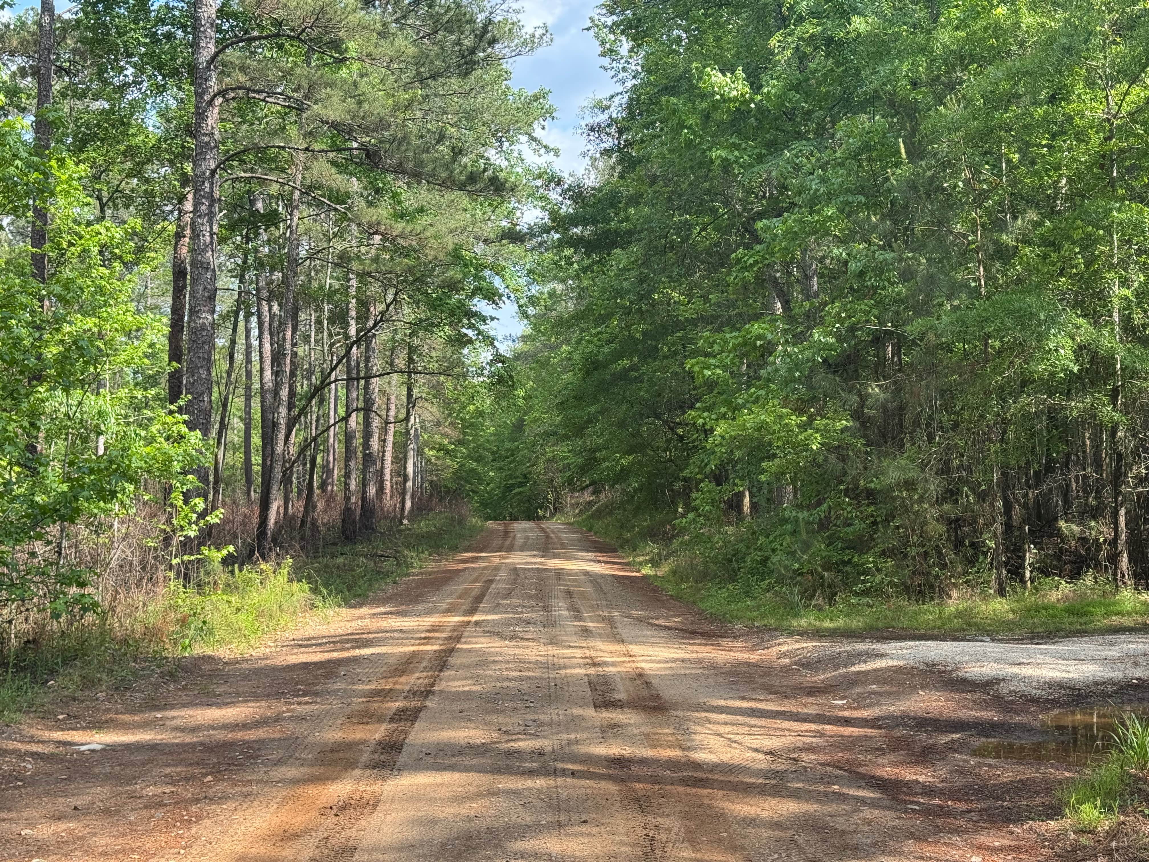 Reids Road