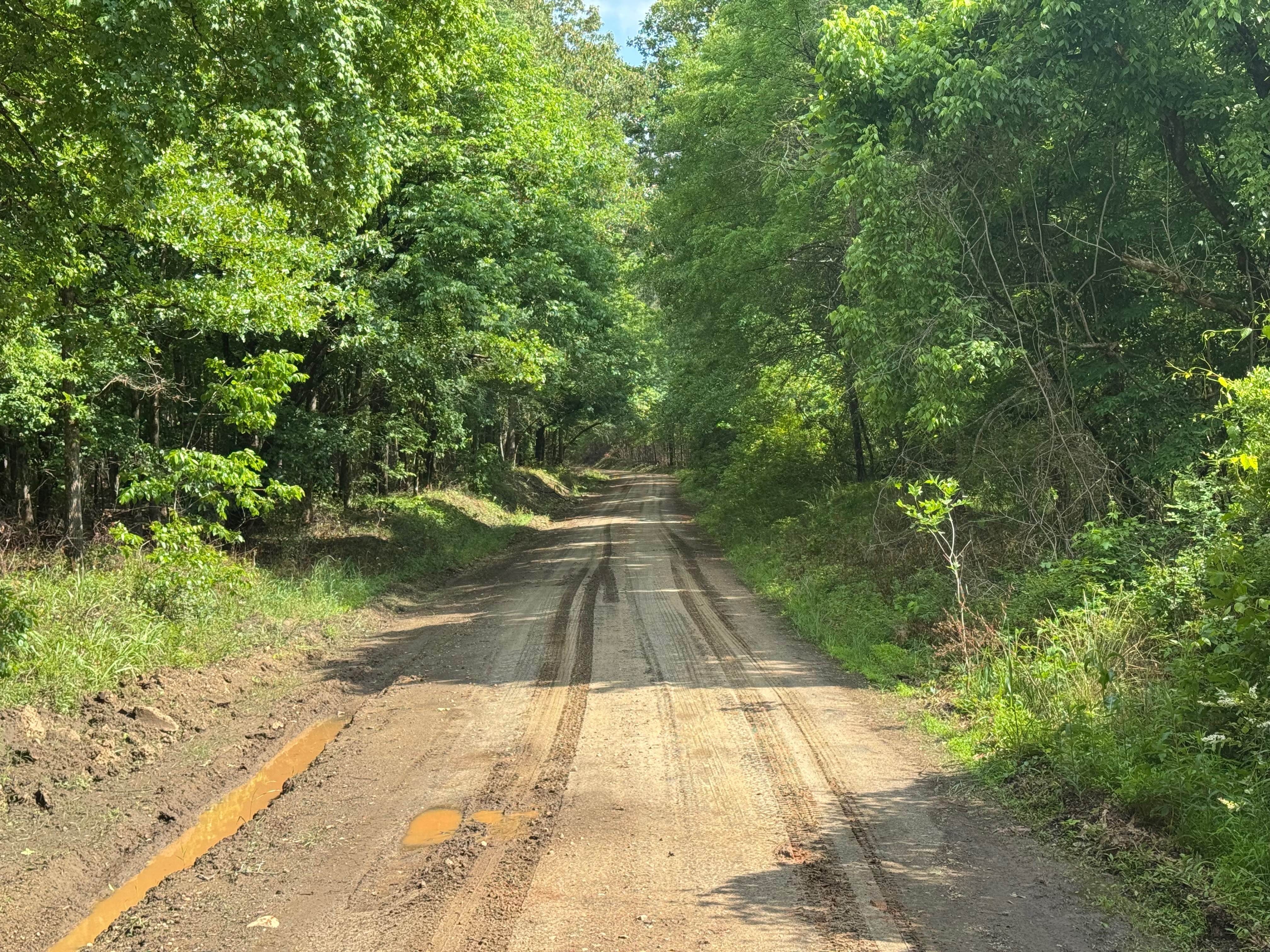 Reids Road