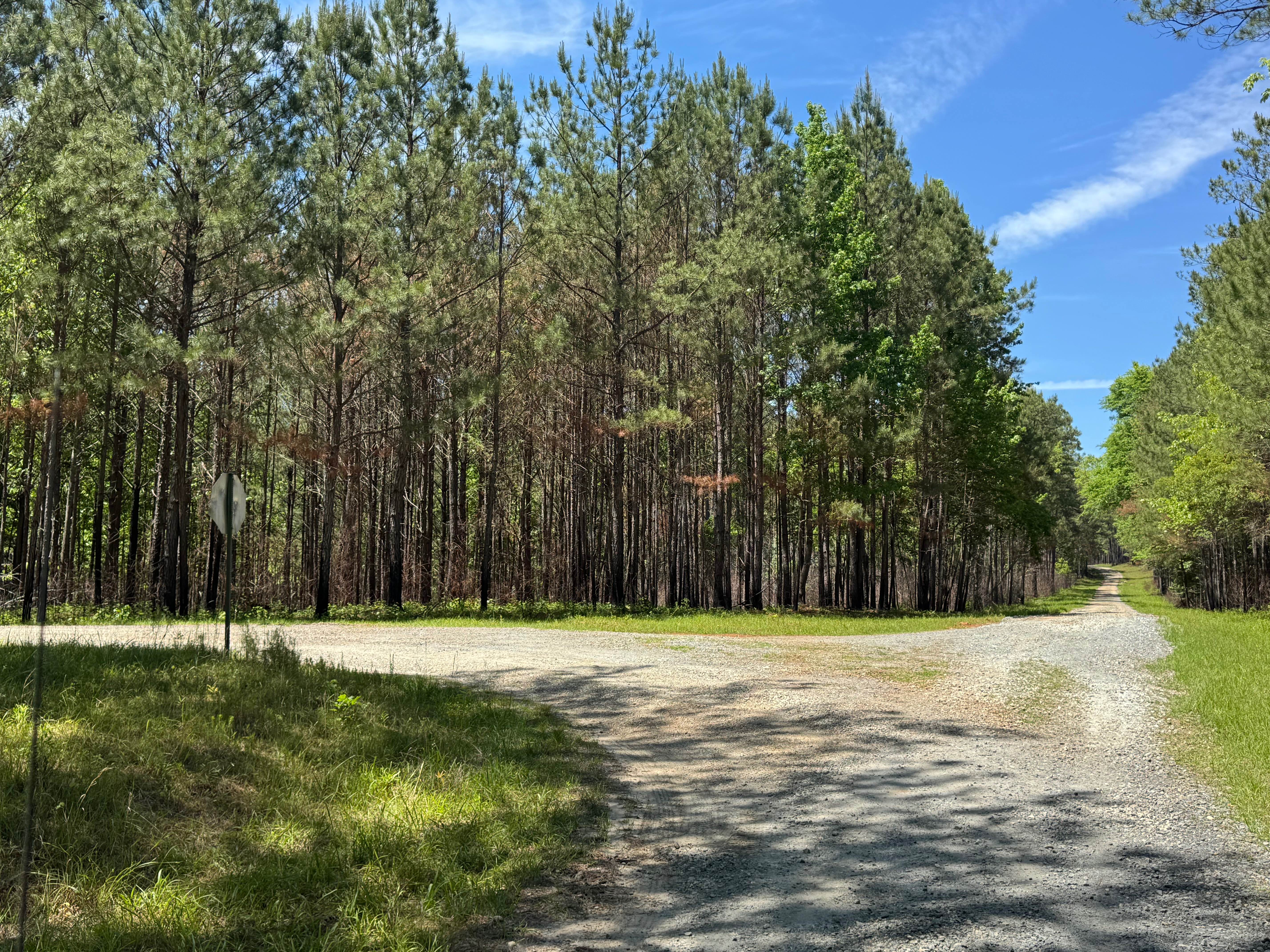 North Road