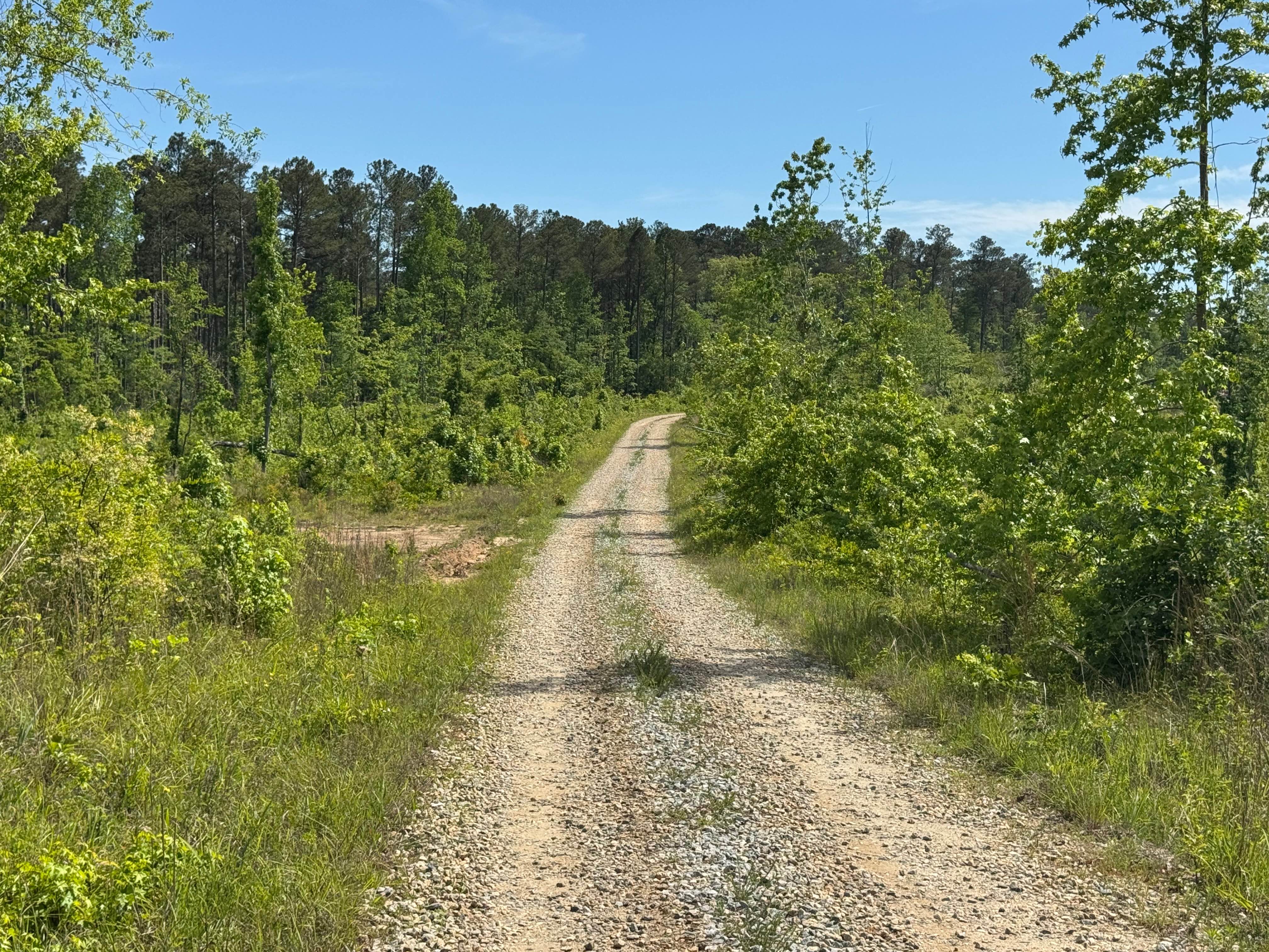 Little Gladesville - FS 1026