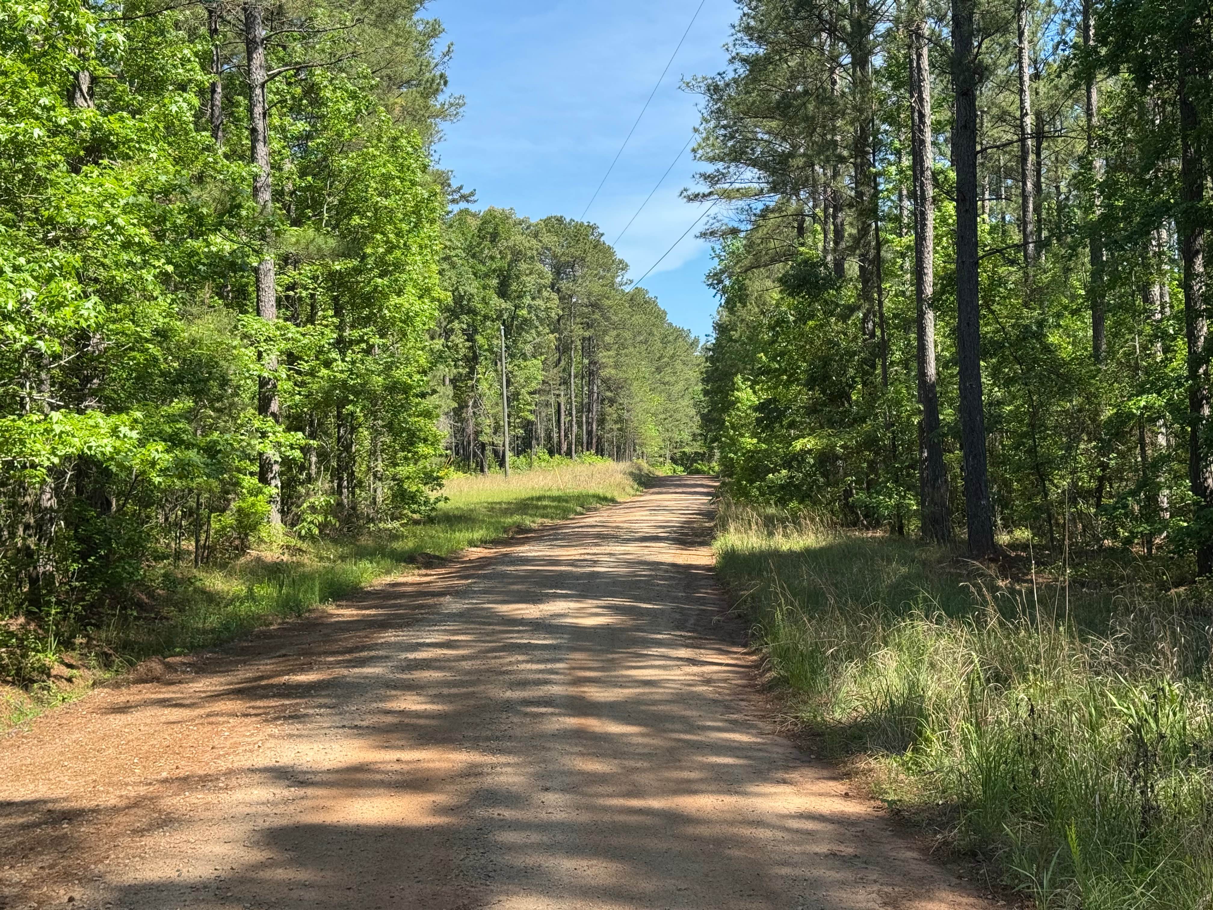 Firetower Road