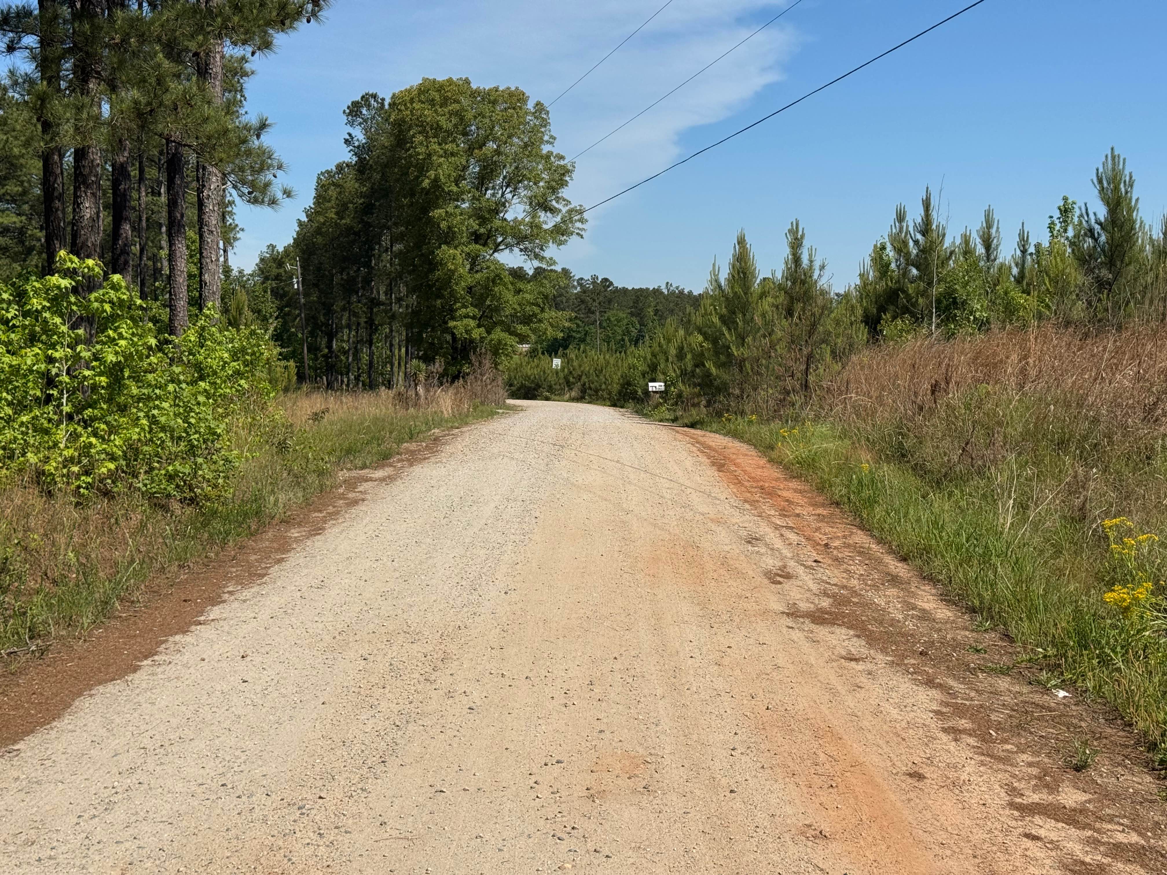 Firetower Road