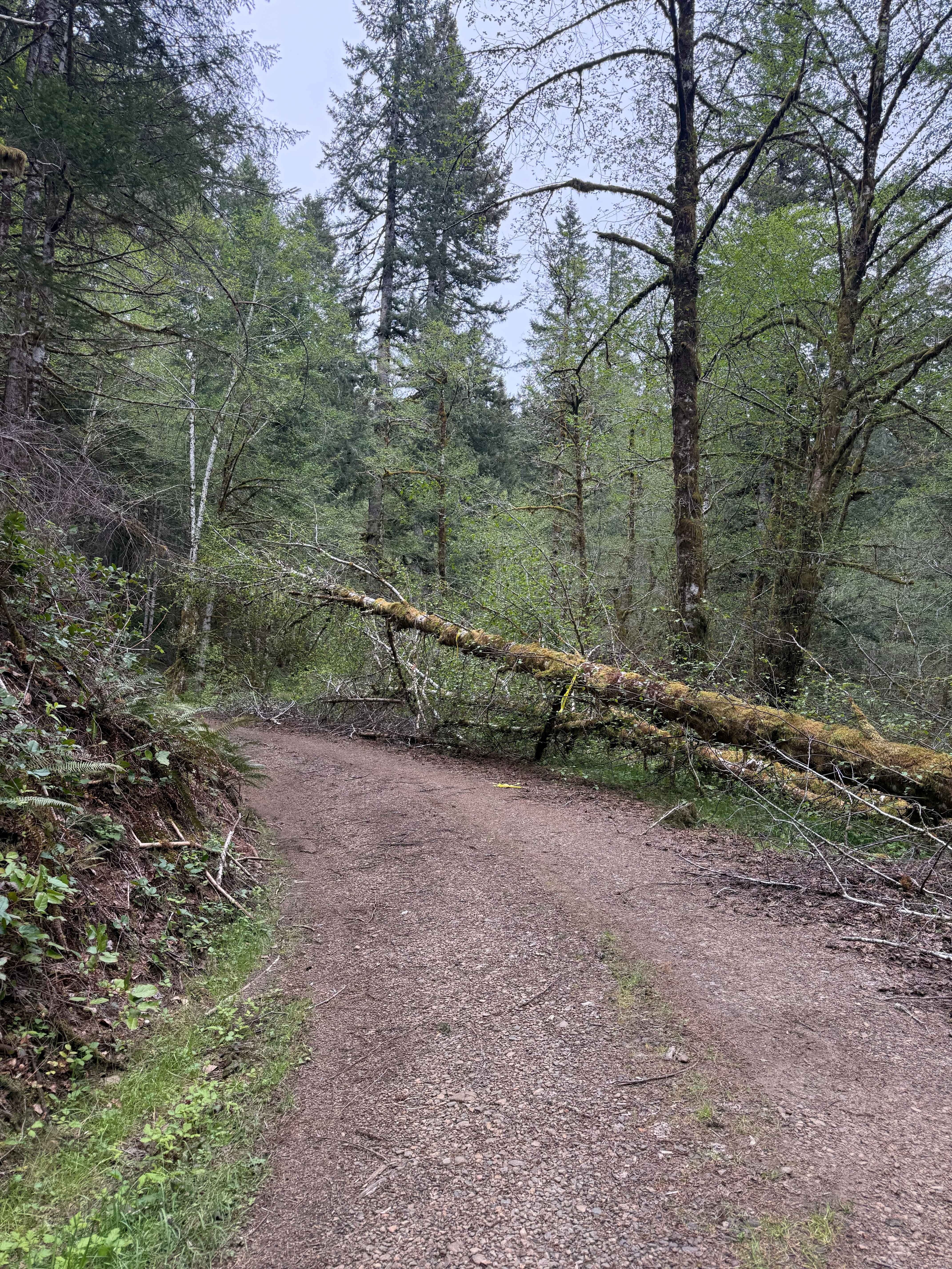 Nook Road
