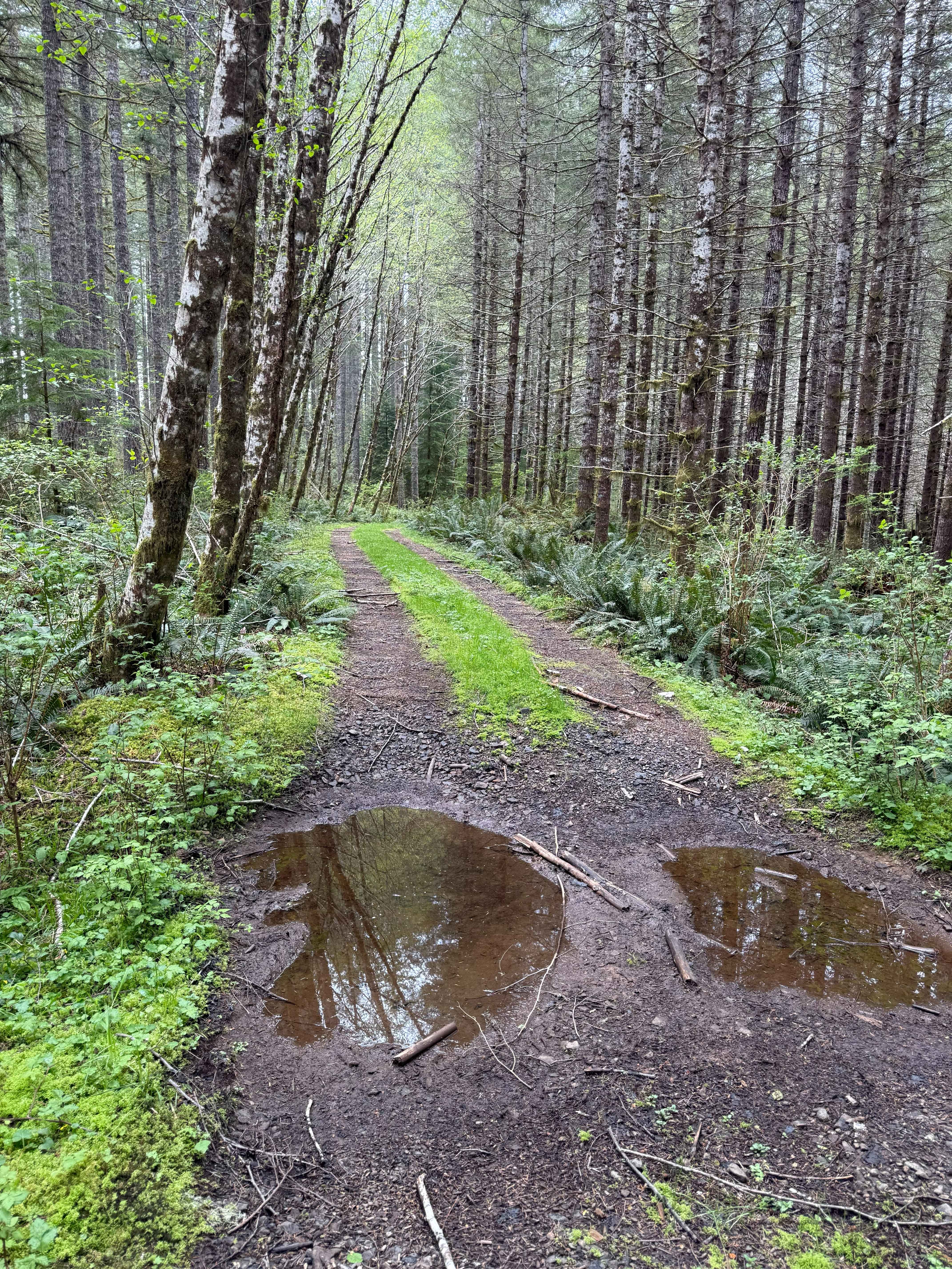 Nook Road