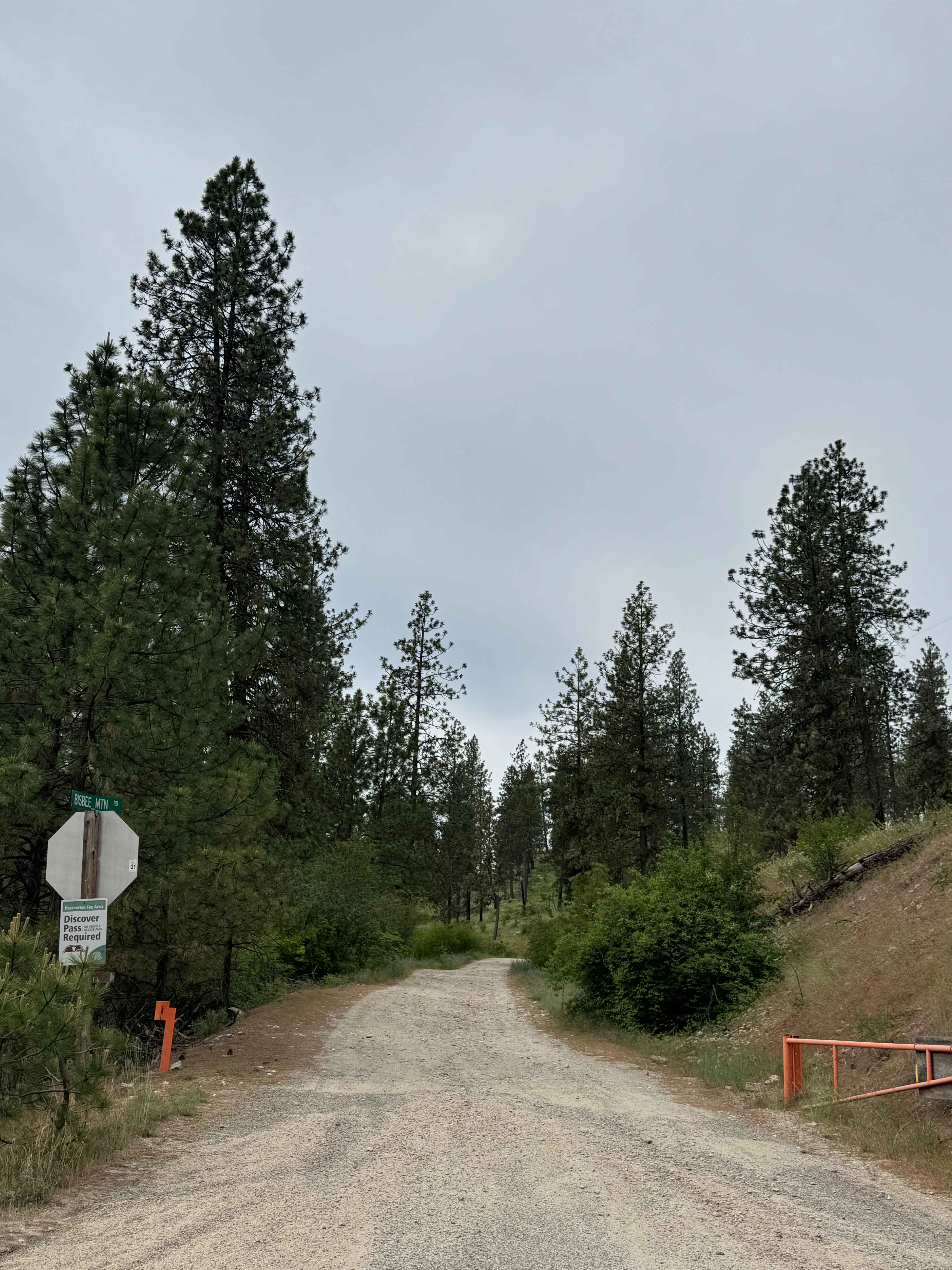 Bisbee Mountain Road