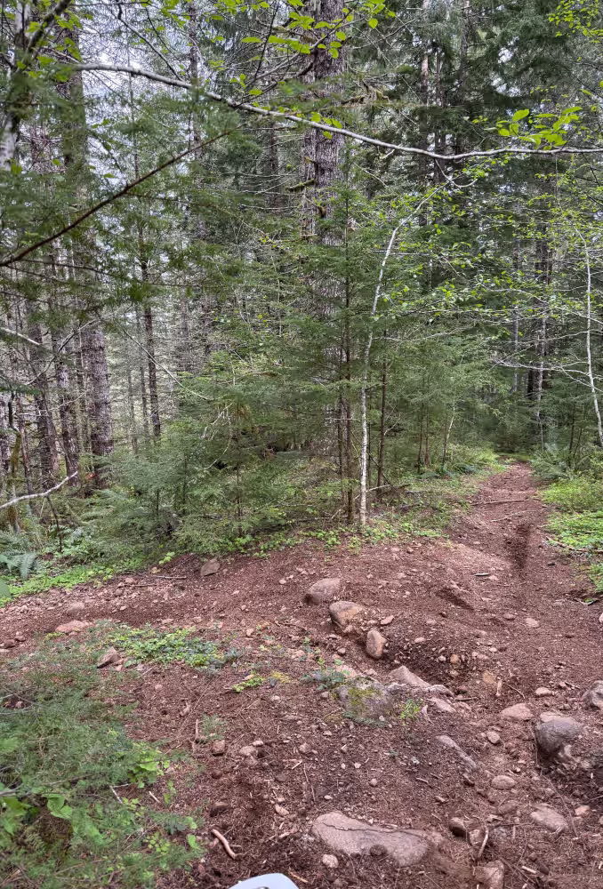Ginger Creek Access Loop