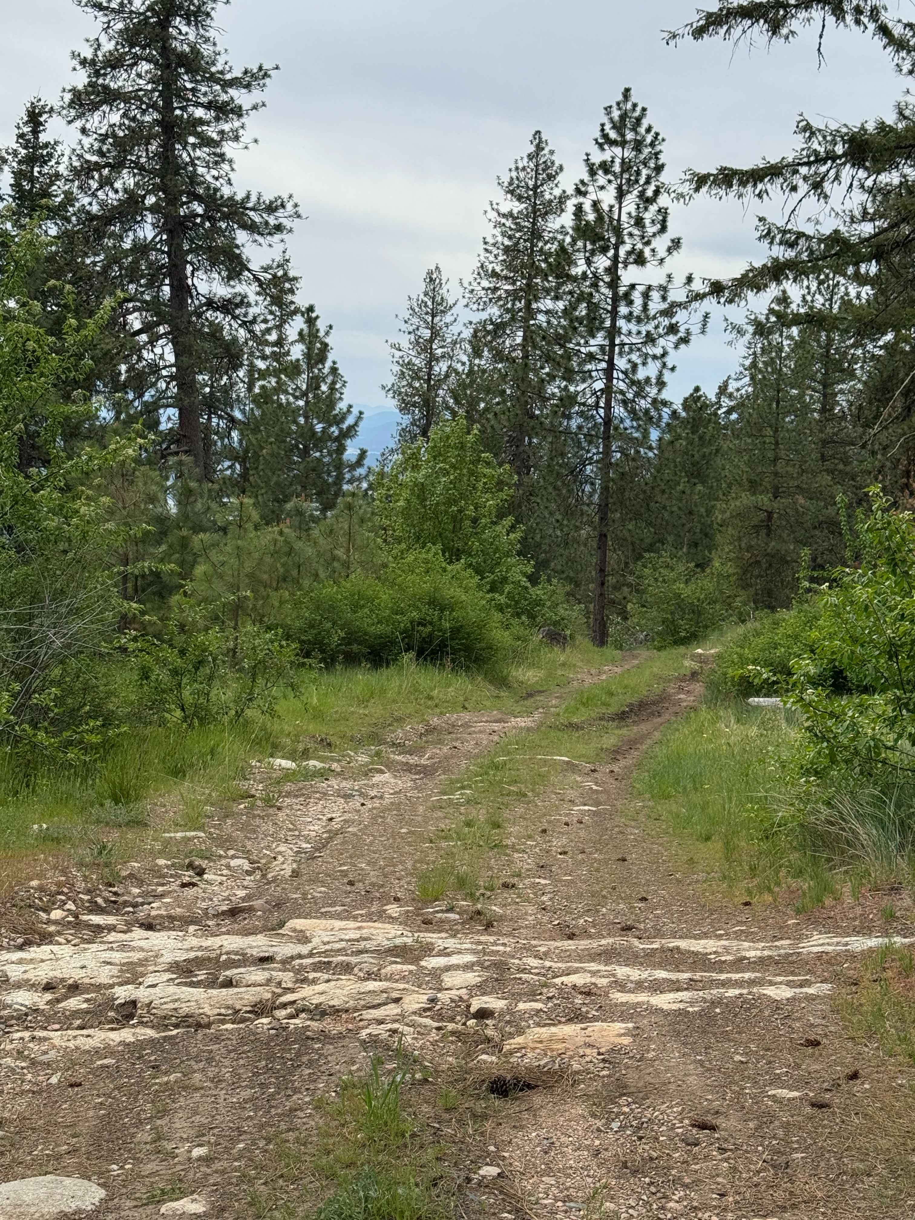 DNR Road E363717