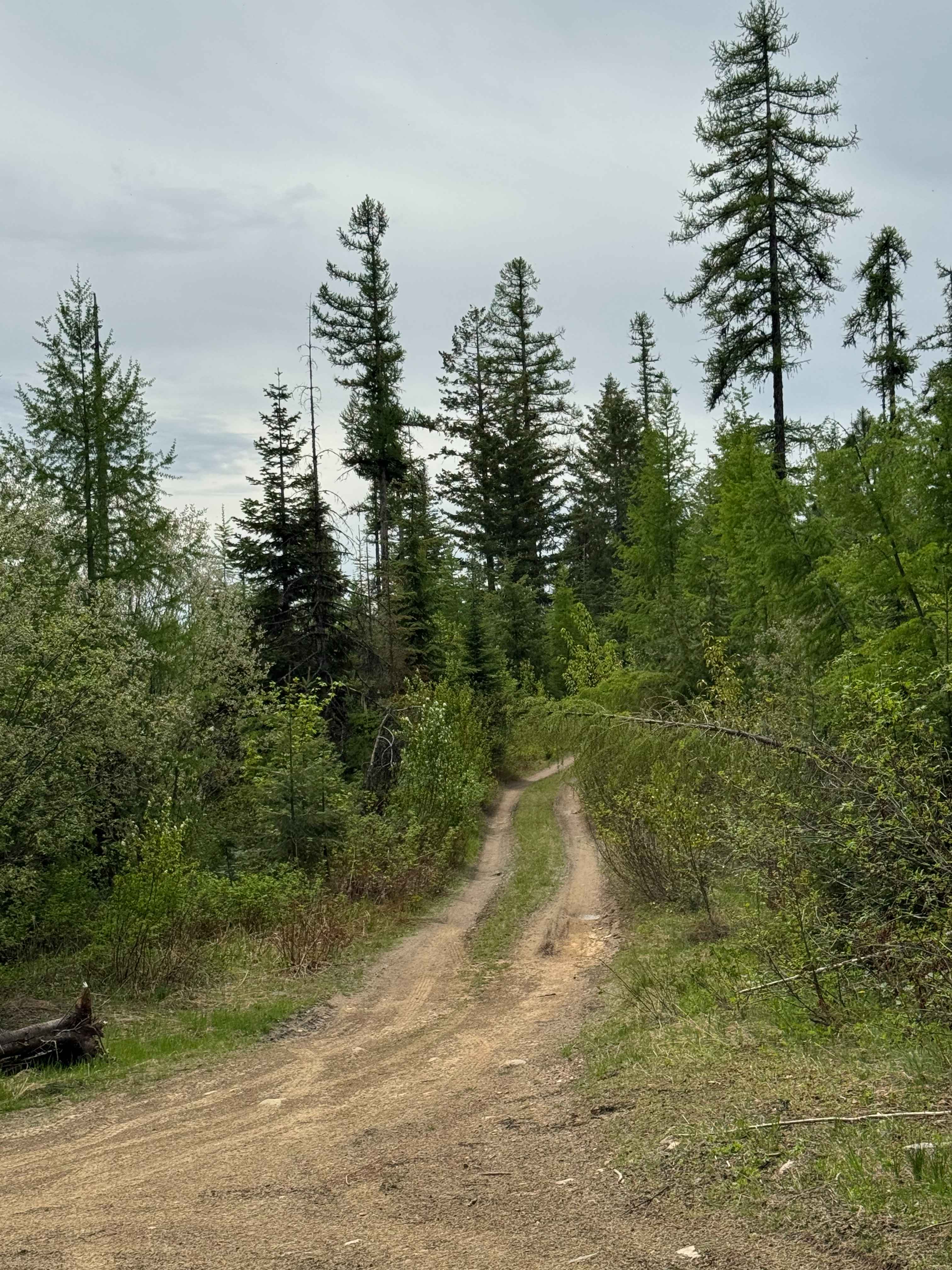 DNR Road E363717